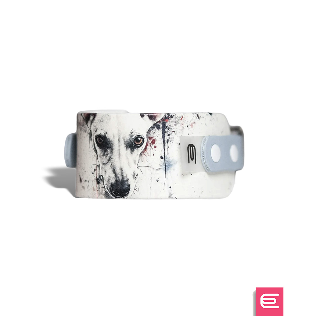 Italian greyhound collar EYESH 215 BioThane® - EYESH -for dog walks- image 1