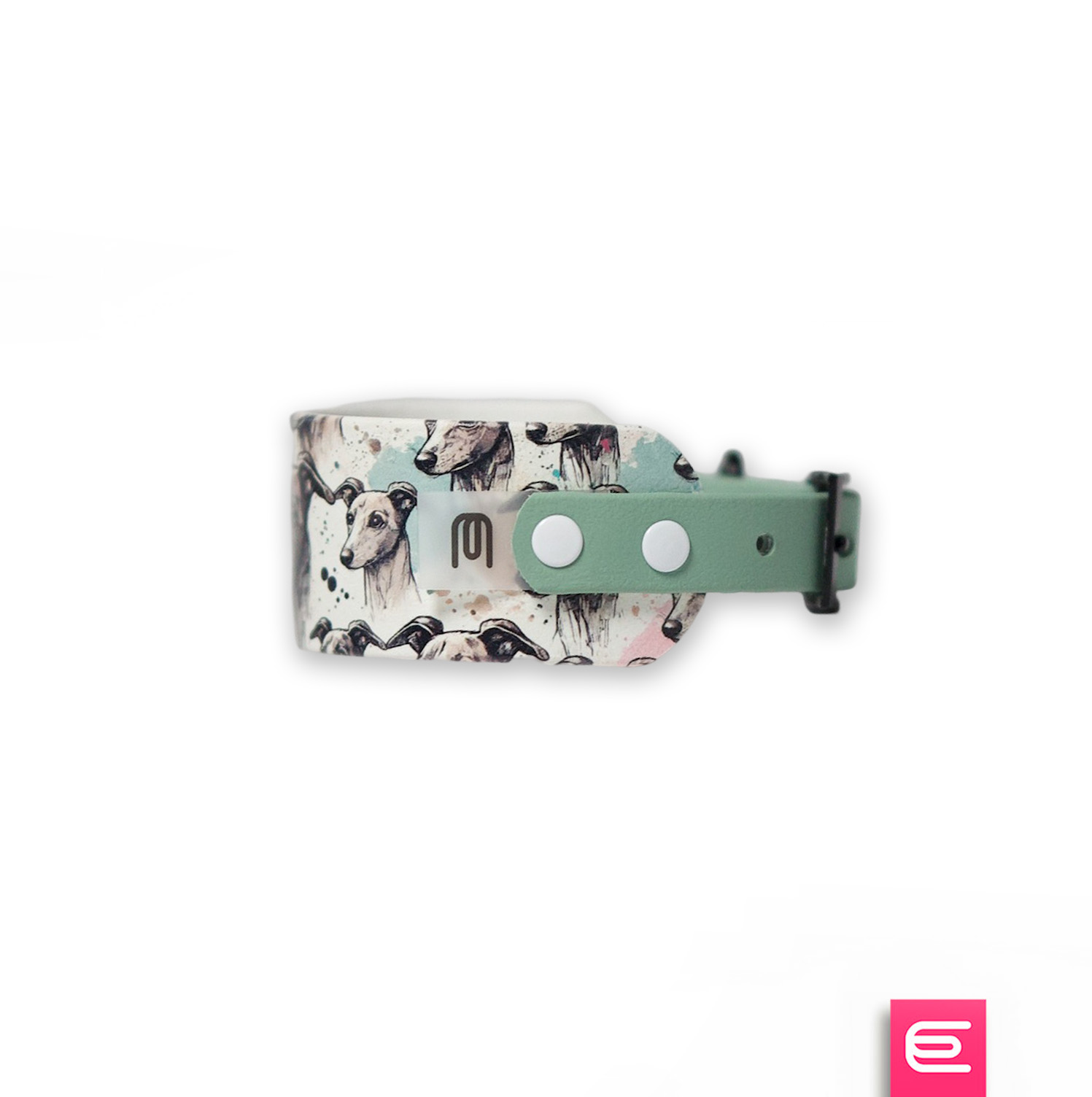 Italian greyhound collar EYESH 258 BioThane® - EYESH -for dog walks- image 1