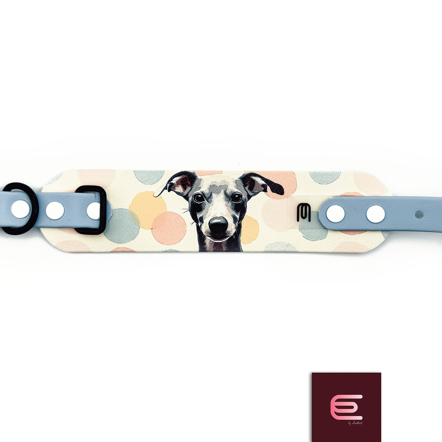Italian greyhound collar EYESH 290 BioThane® - EYESH -for dog walks- image 1