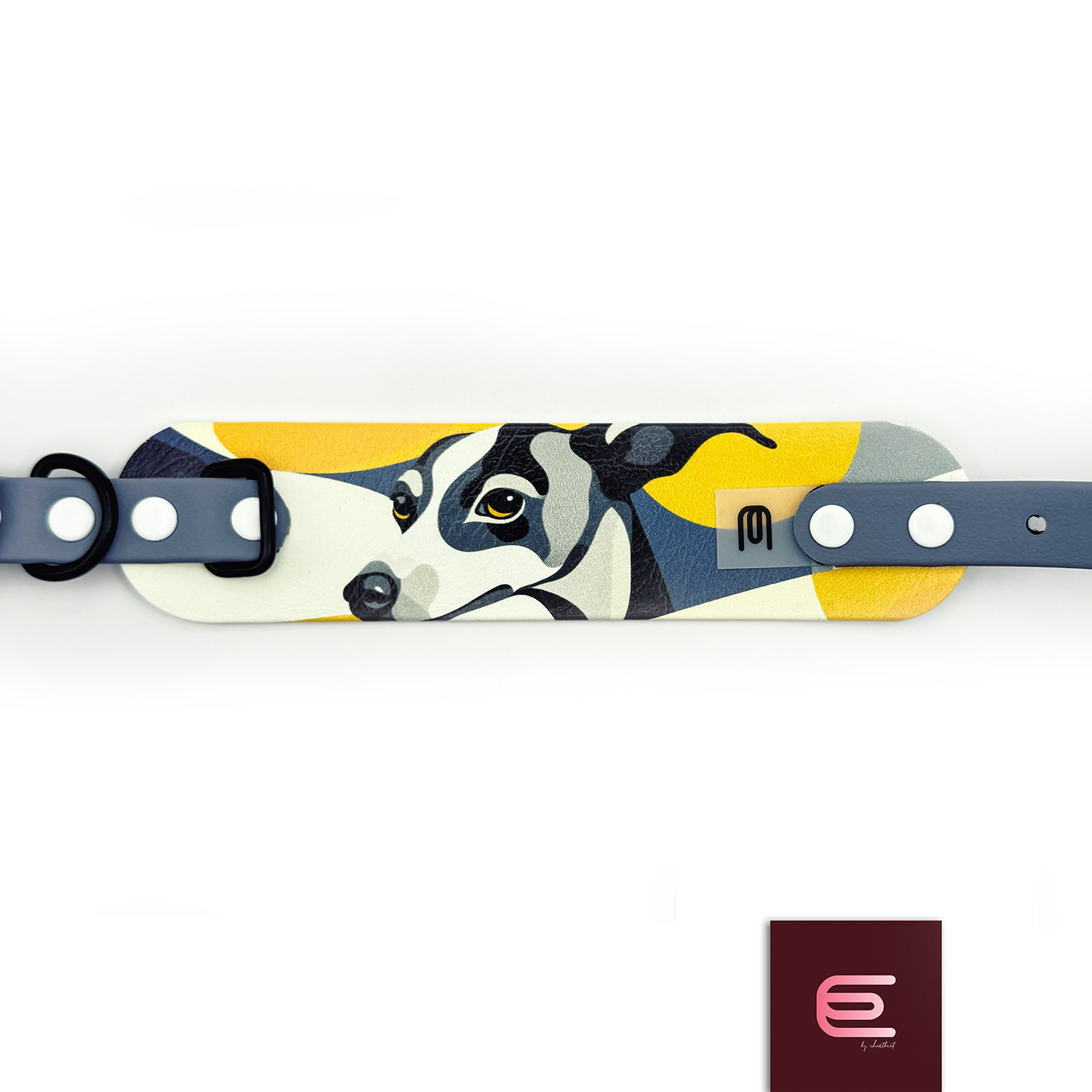 Italian greyhound collar EYESH 292 BioThane® - EYESH -for dog walks- image 1