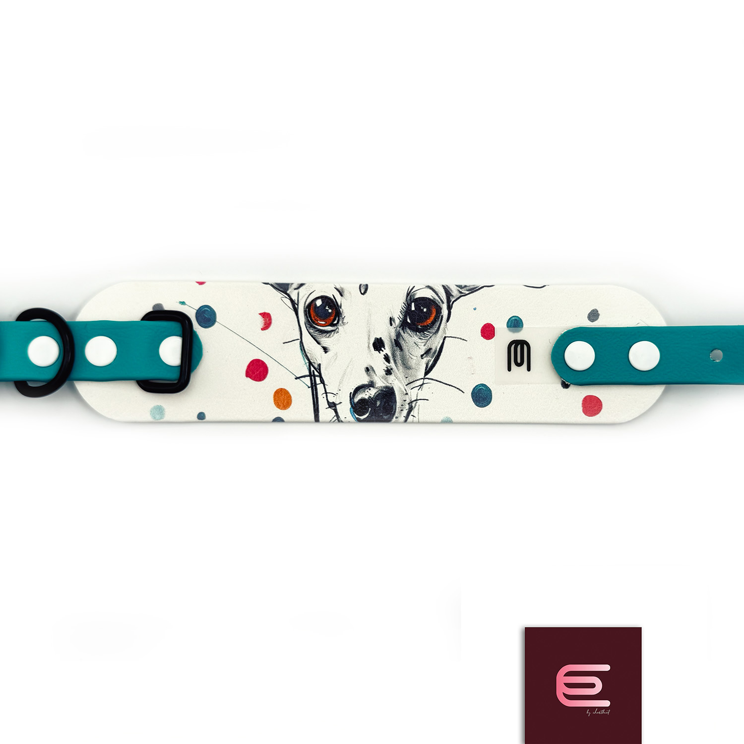 Italian greyhound collar EYESH 301 BioThane® - EYESH -for dog walks- image 1