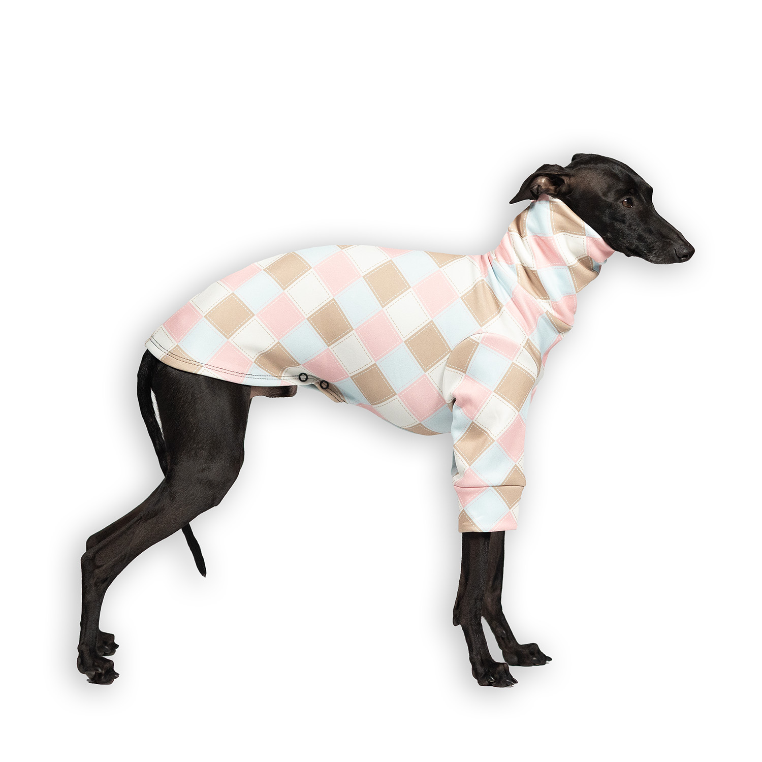 Italian greyhound clothing VANILLA SHAKE Stretchmax® blouse - Wear.Chartbeat image 1