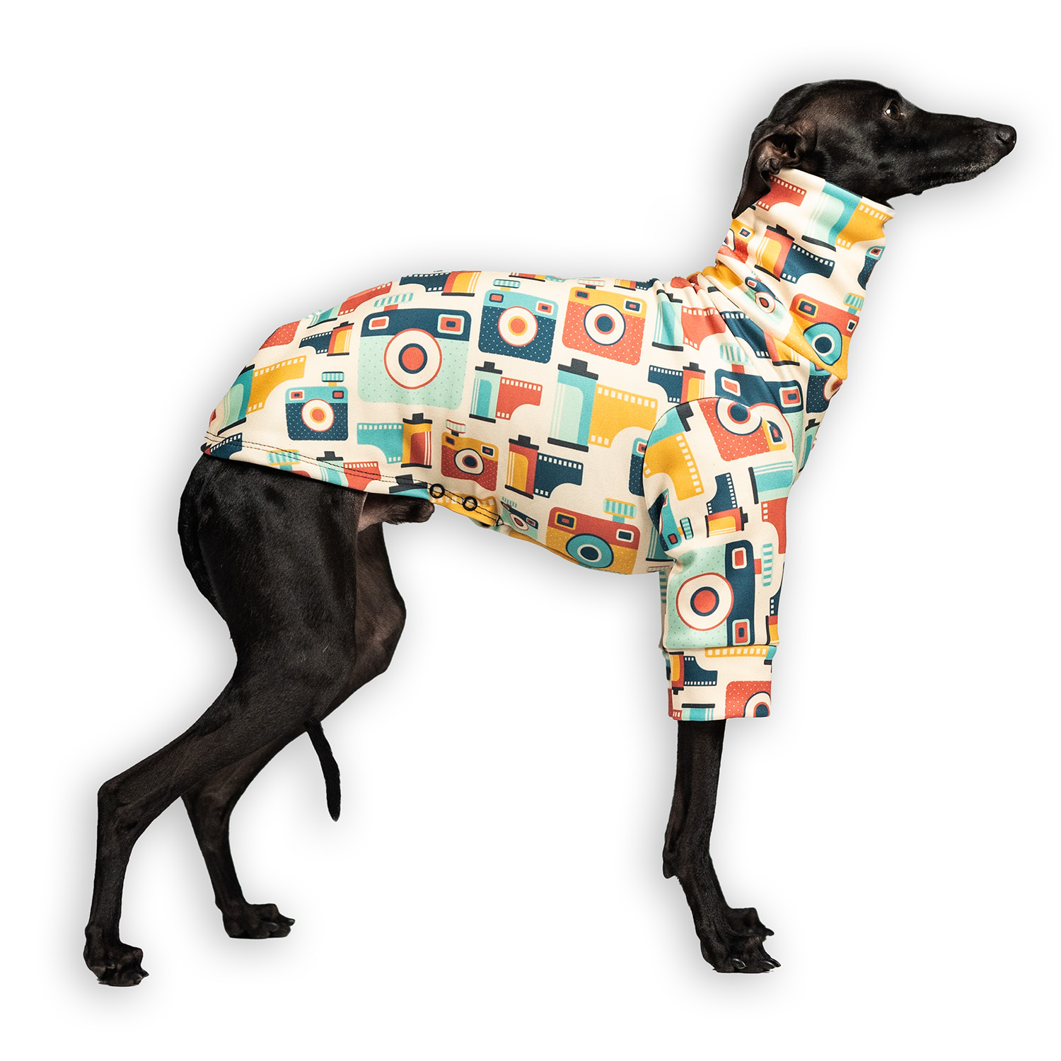 Italian greyhound clothing LOMO Stretchmax® blouse - Wear.Chartbeat image 1