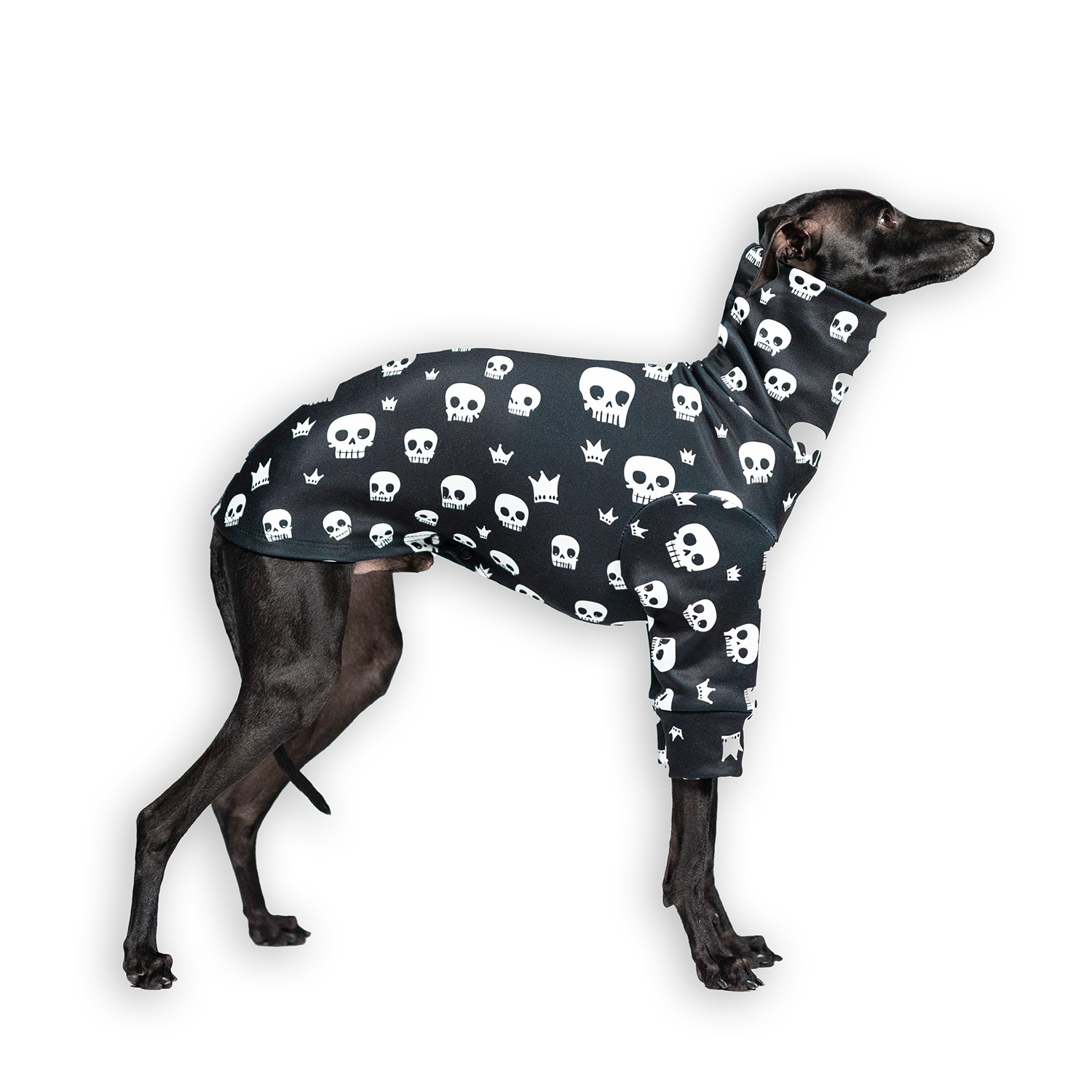 Italian greyhound clothing SPOOKIFY Stretchmax® blouse - Wear.Chartbeat image 1