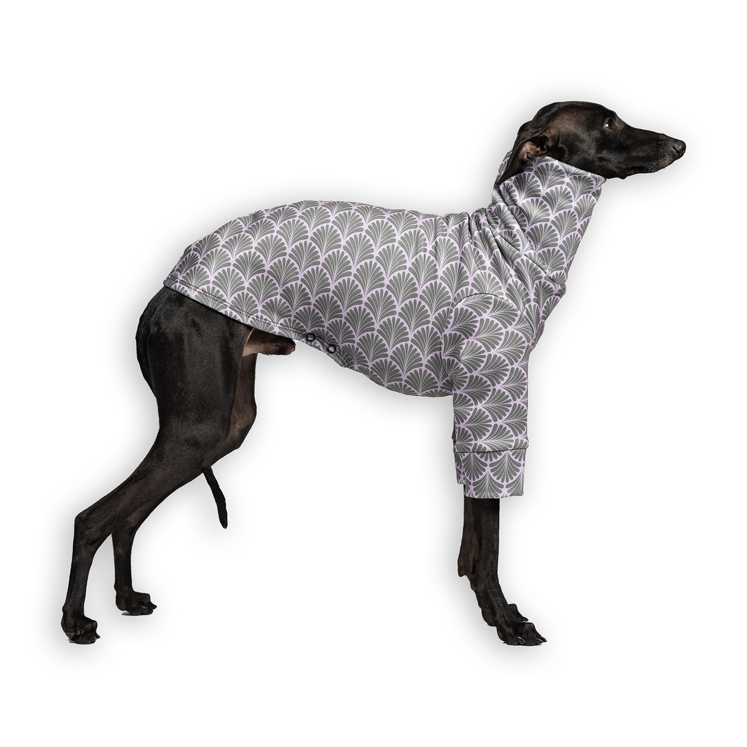 Italian greyhound clothing LILLY Stretchmax® blouse - Wear.Chartbeat image 1