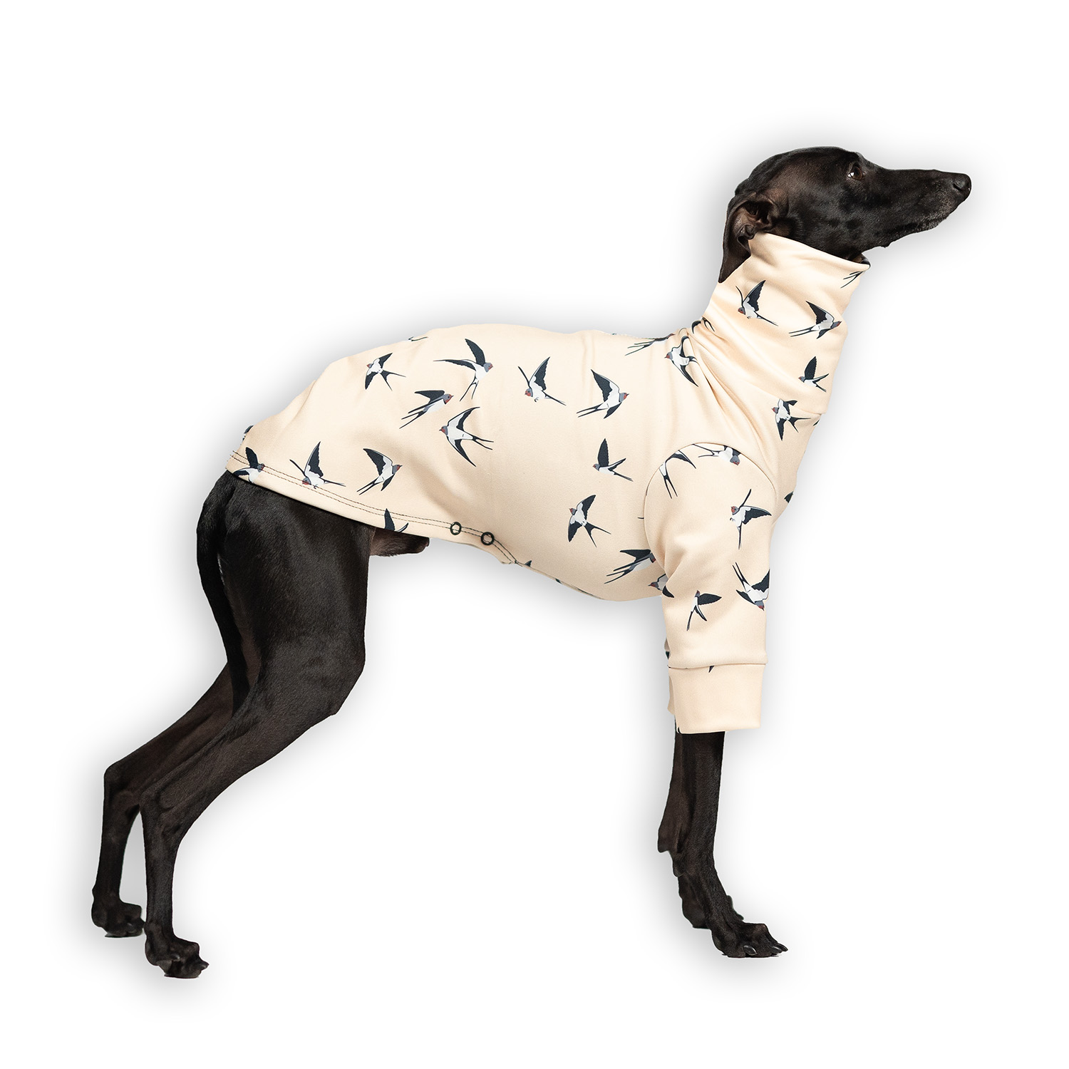 Italian greyhound clothing SKYWHIRL Stretchmax® blouse - Wear.Chartbeat image 1