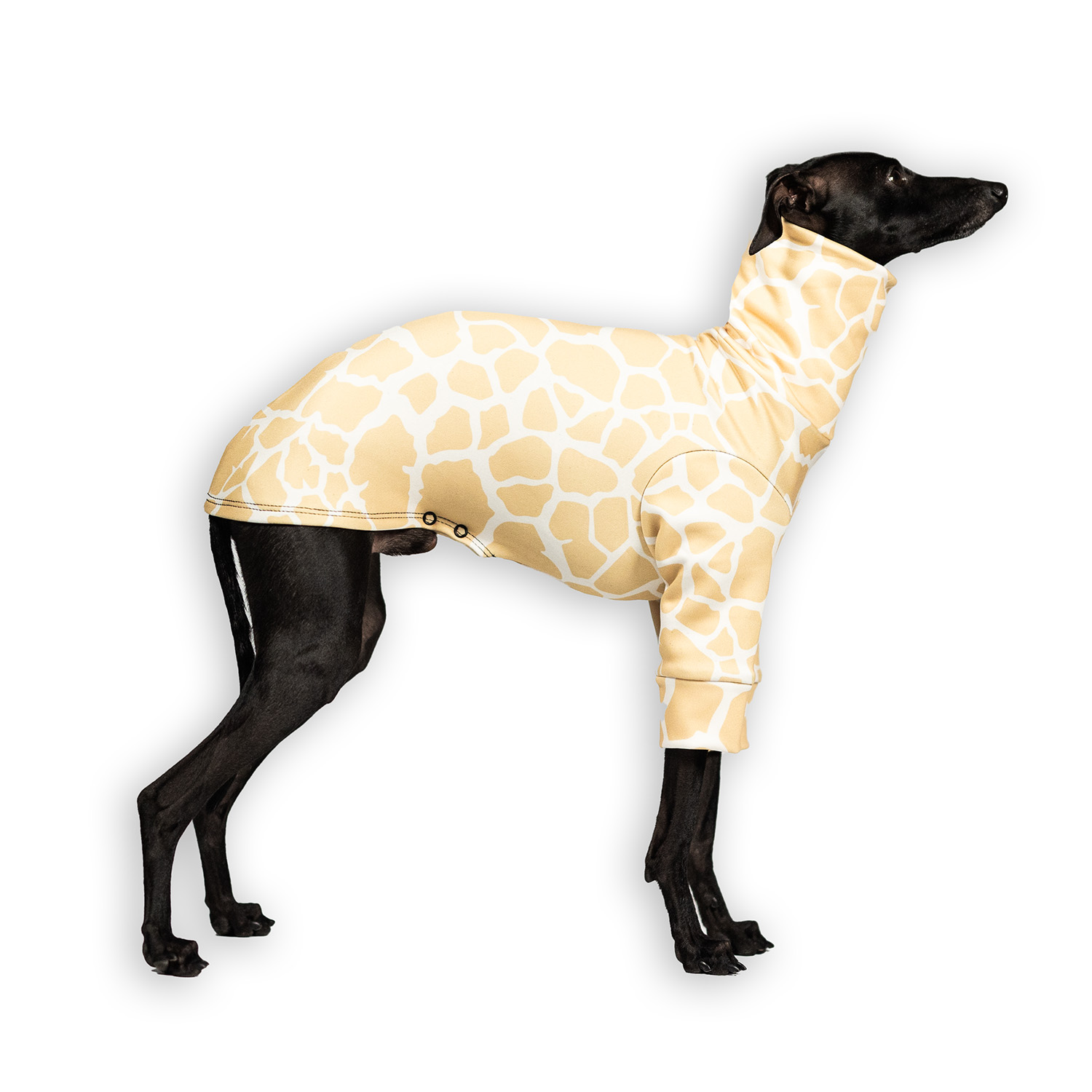 Italian greyhound clothing SAVANNA Stretchmax® blouse - Wear.Chartbeat image 1