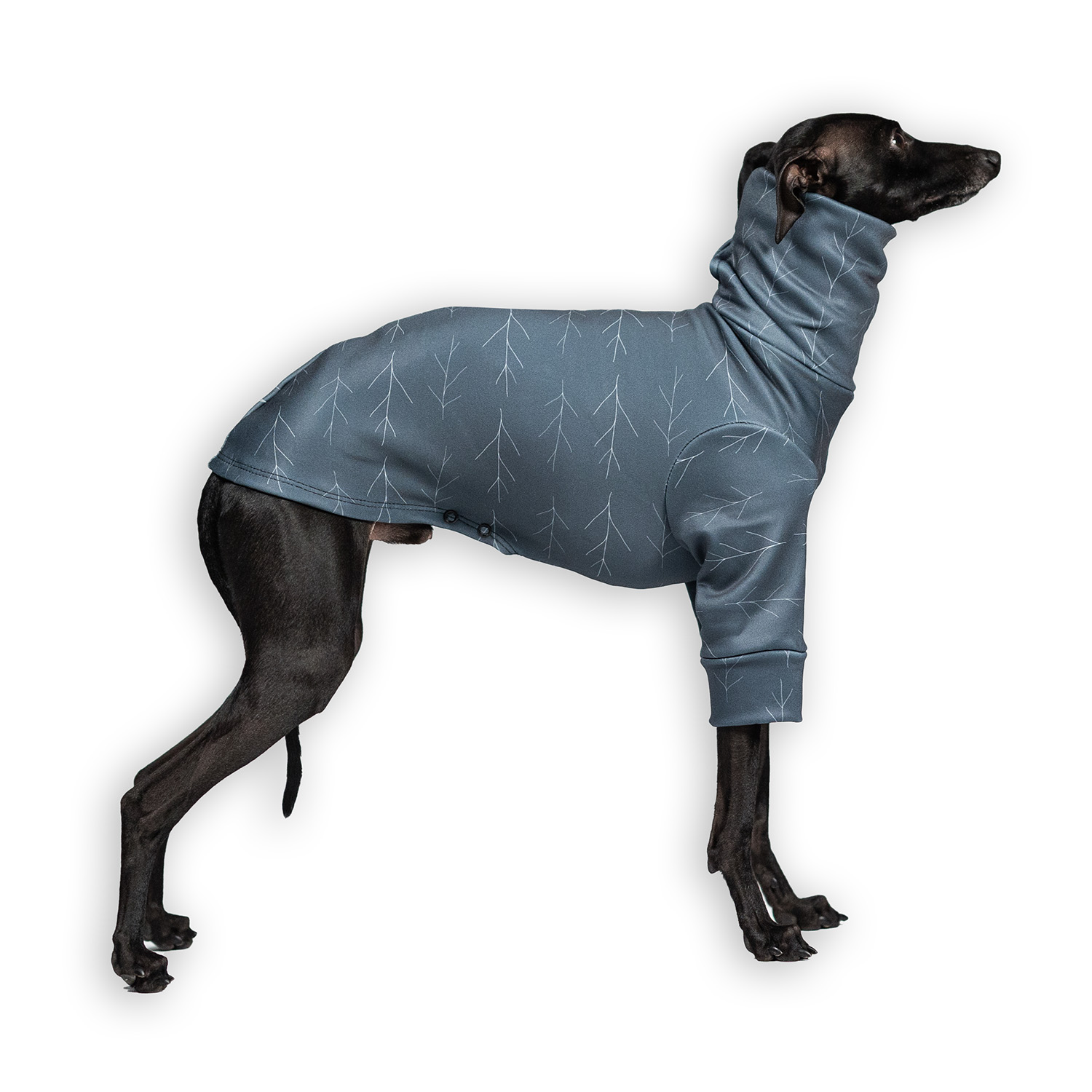 Italian greyhound clothing TWIGGY Stretchmax® blouse - Wear.Chartbeat image 1