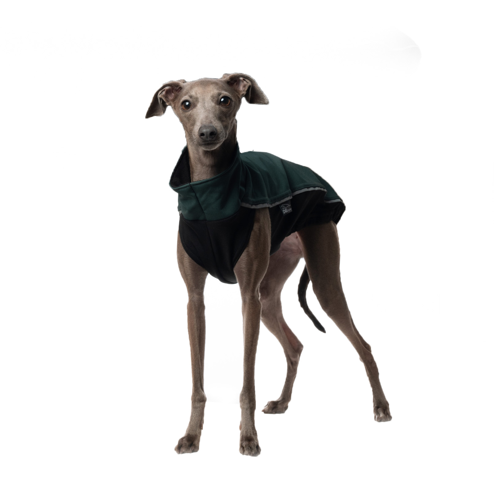 Italian greyhound jacket DG OUTDOOR SOFTSHELL TOP - DGDogGear image 1