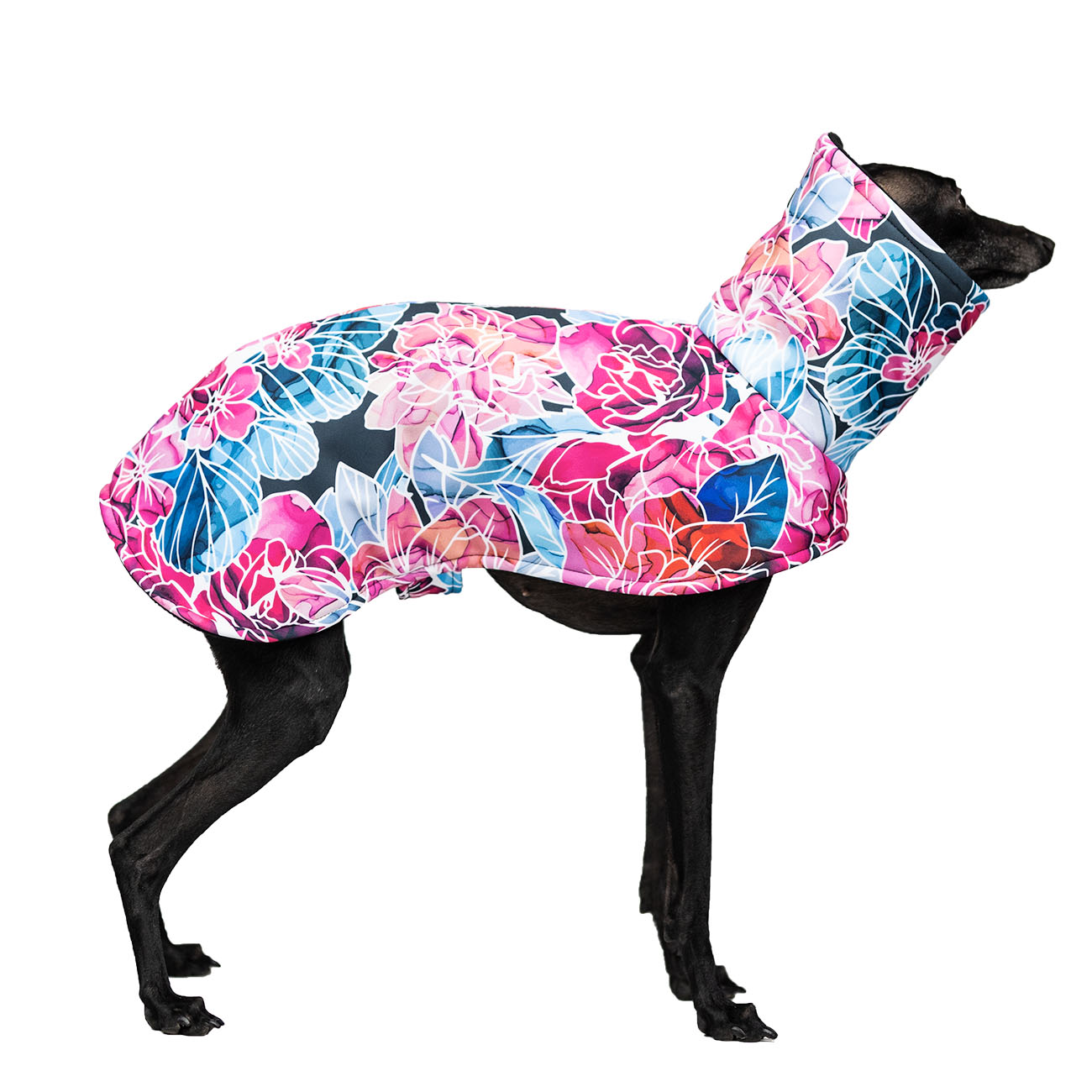 Italian greyhound BOUQUET D'ASTERS Softshell® jacket - Wear.Chartbeat image 2