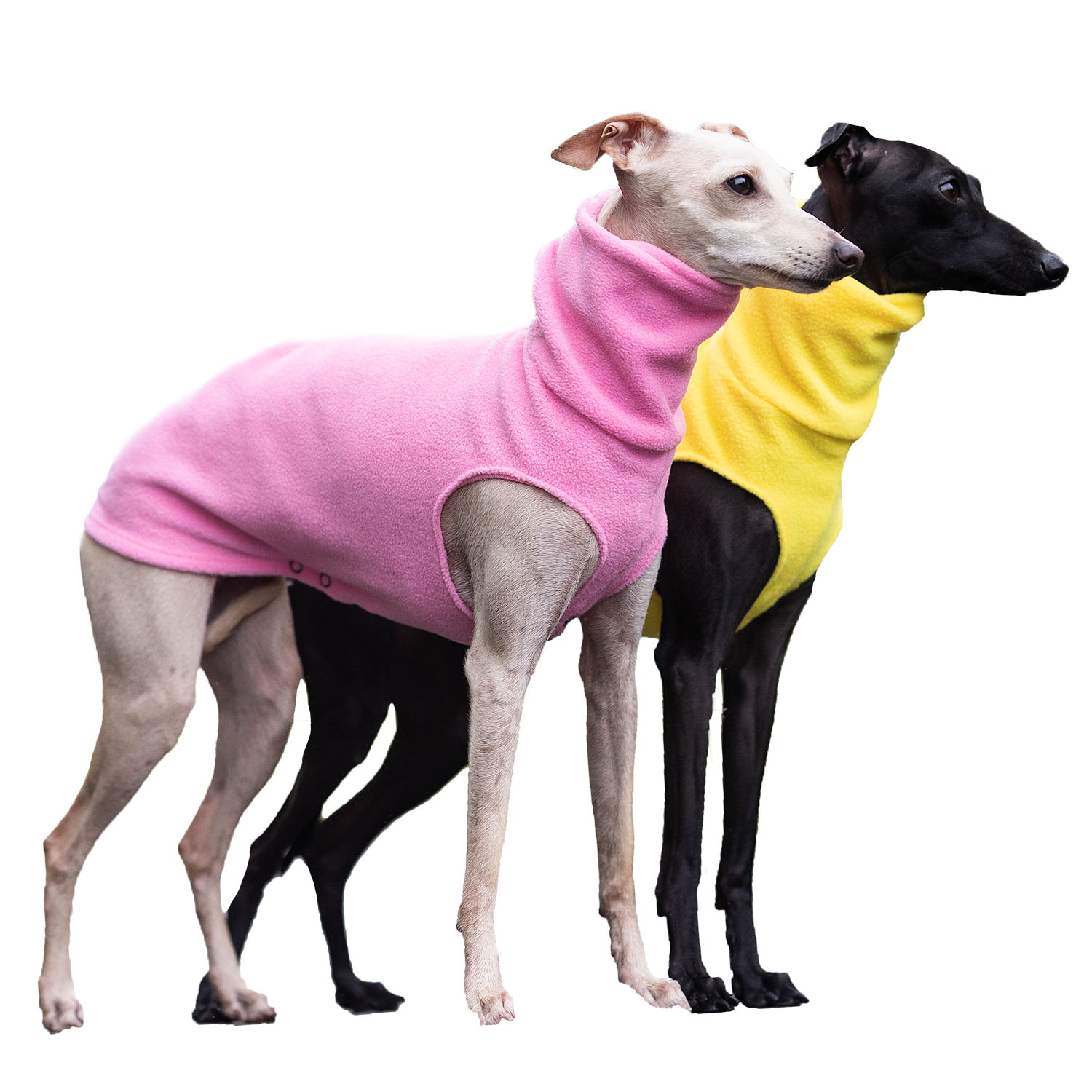 Italian greyhound clothing PINK & YELLOW FLEECE - Wear.Chartbeat image 1