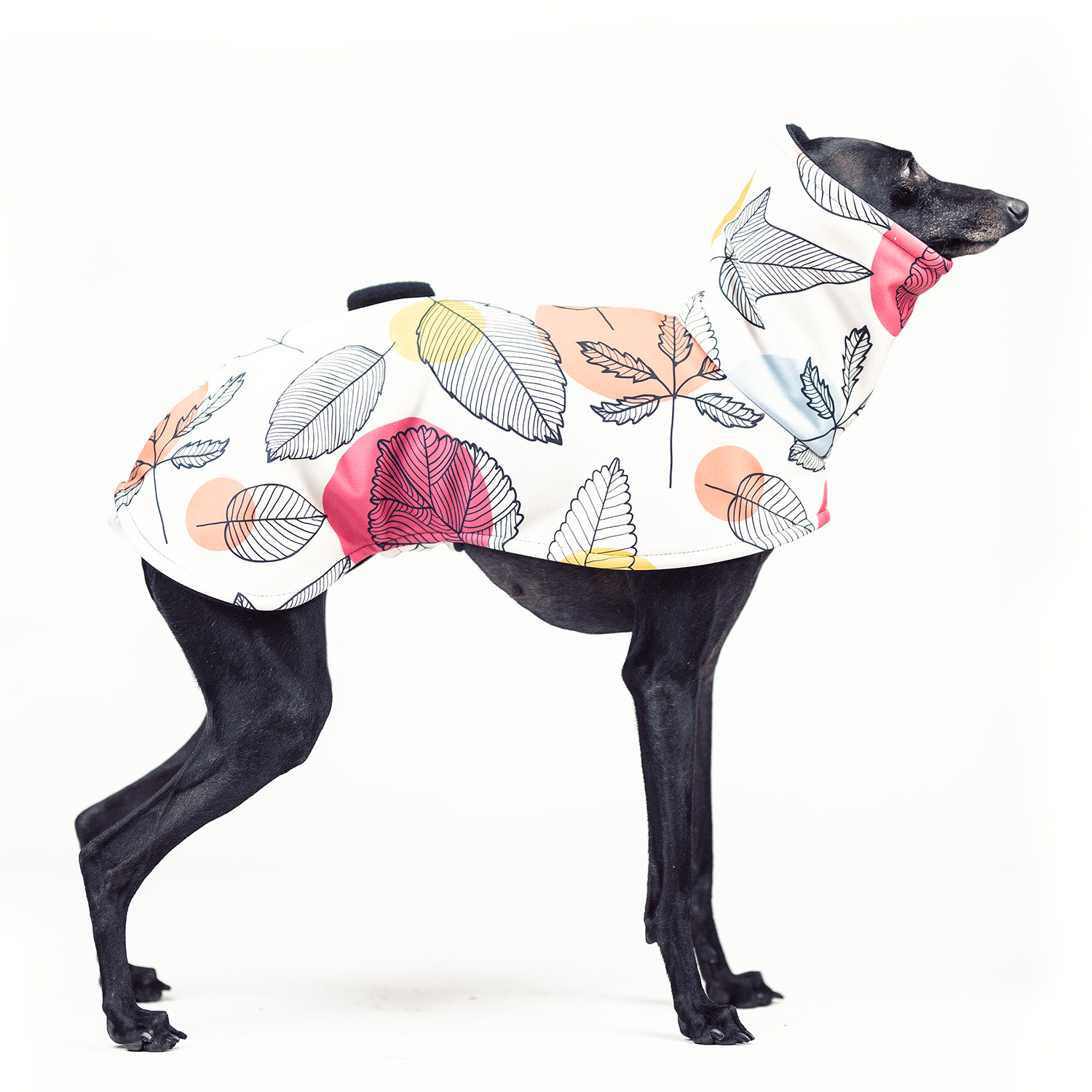 Italian greyhound AUTIMN FEVER Softshell® jacket - Wear.Chartbeat image 1