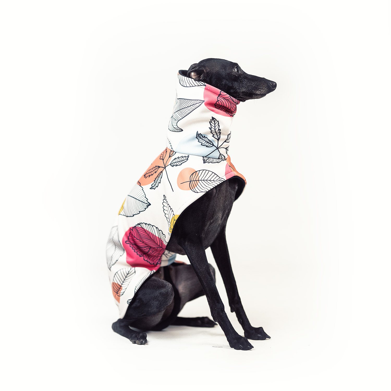 Italian greyhound AUTIMN FEVER Softshell® jacket - Wear.Chartbeat image 3