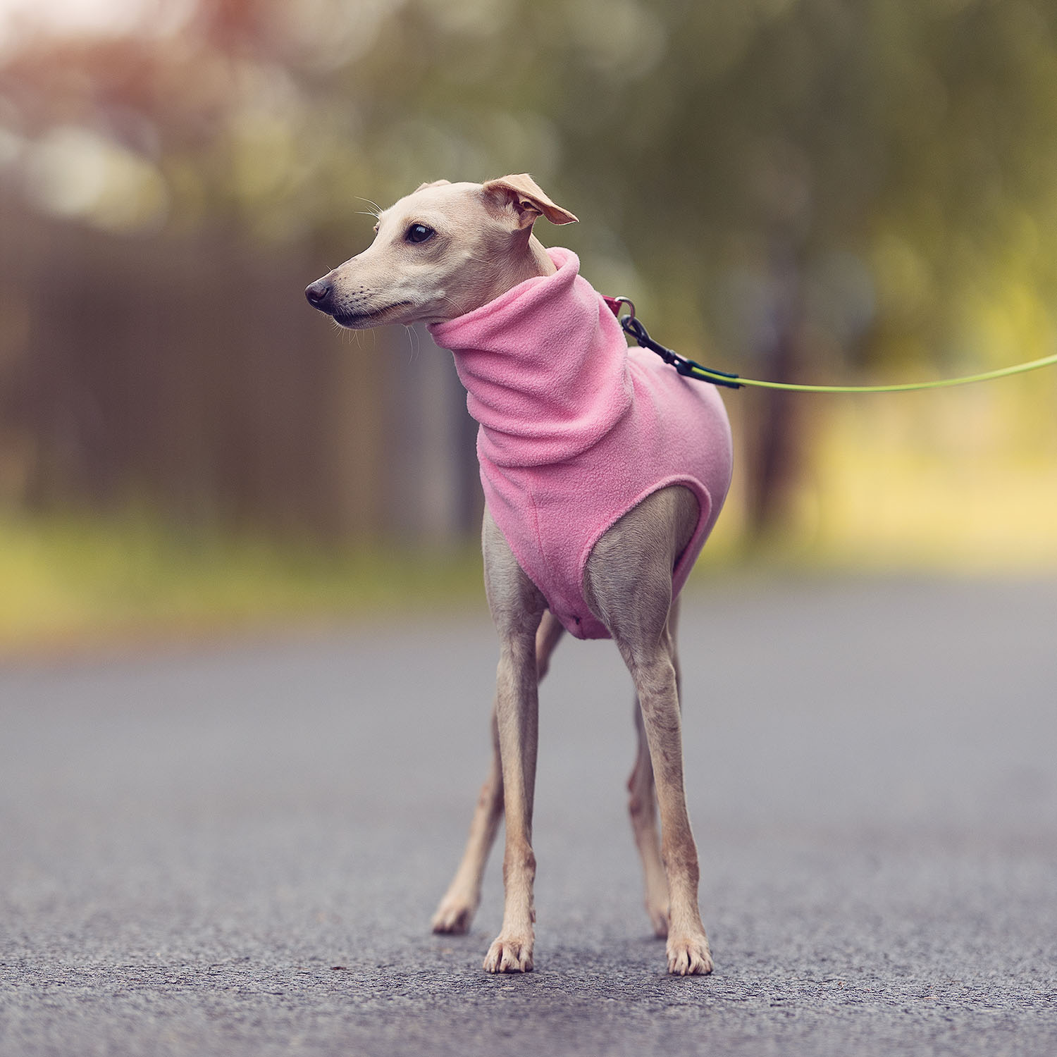Italian greyhound clothing PINK & YELLOW FLEECE - Wear.Chartbeat image 3