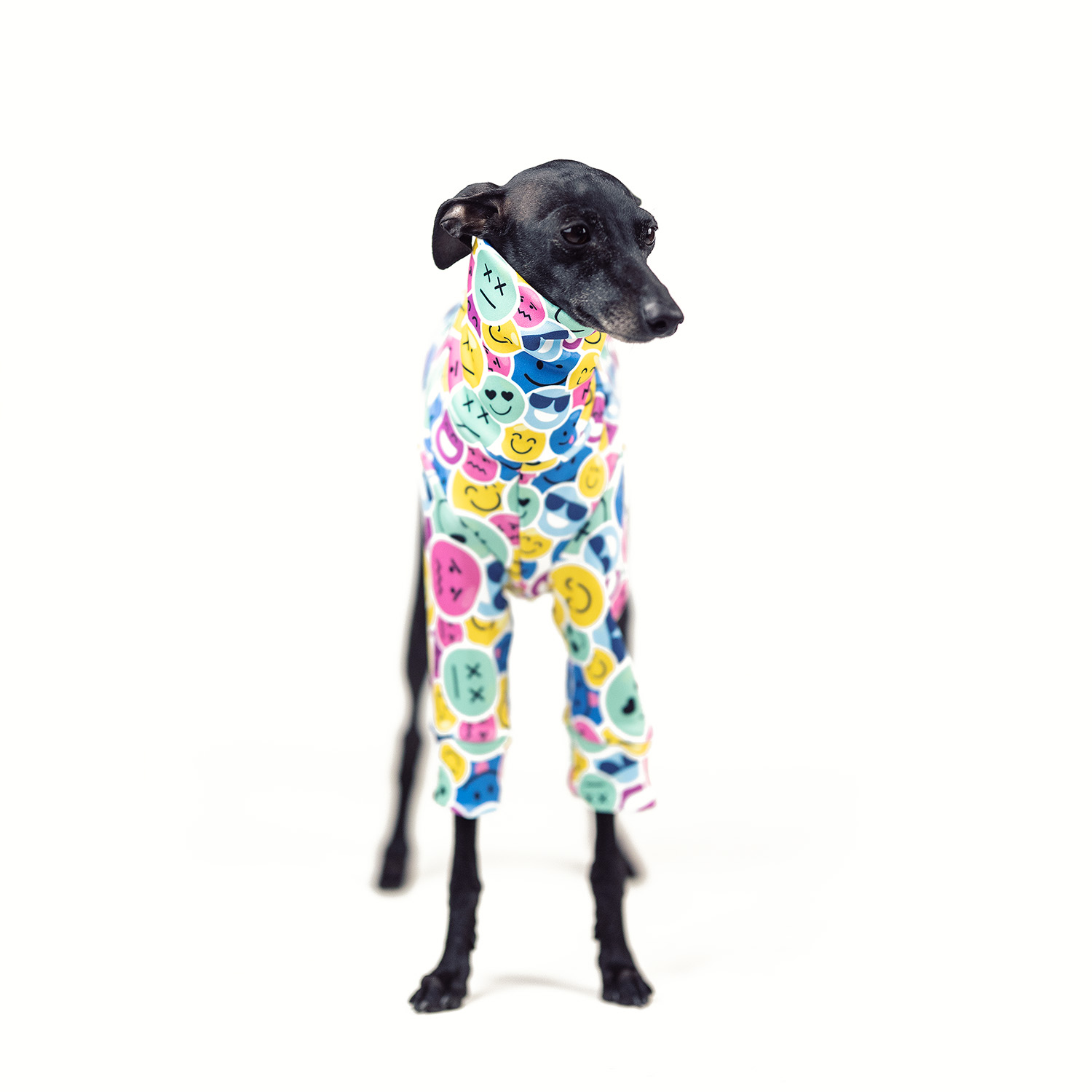 Italian greyhound clothing EMOJI Stretchmax® blouse - Wear.Chartbeat image 3