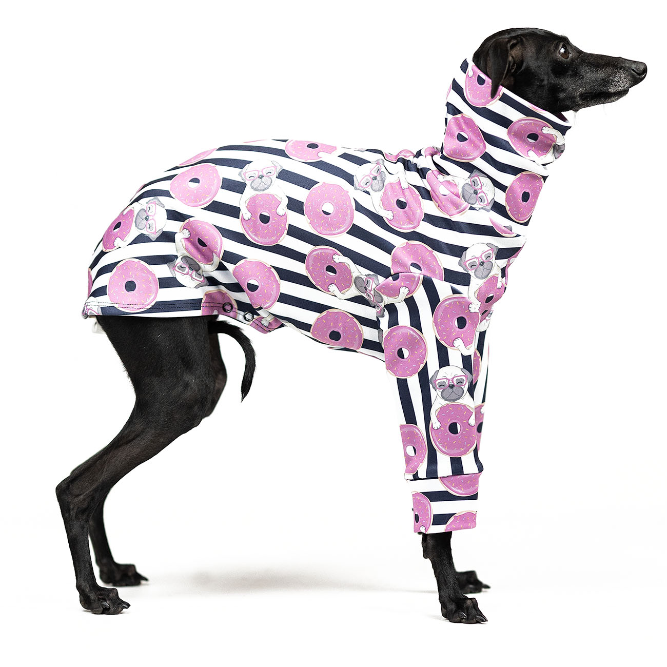 Italian greyhound clothing DUNOT PUGLET - Wear.Chartbeat image 2