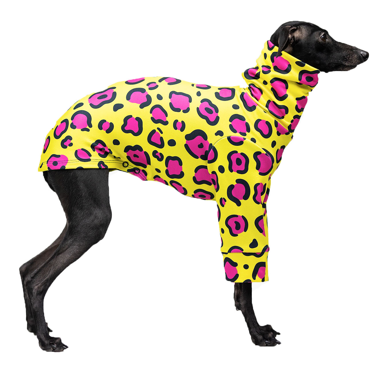 Italian greyhound clothing JAGUAR blouse - Wear.Chartbeat image 2
