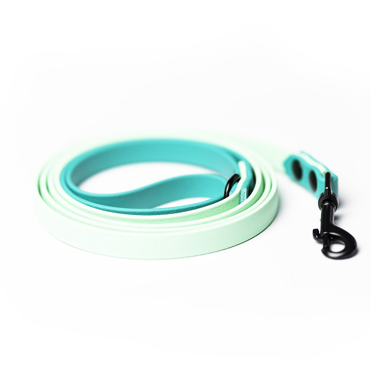 Italian greyhound leash Mint Ocean BioThane® - ACC image 1