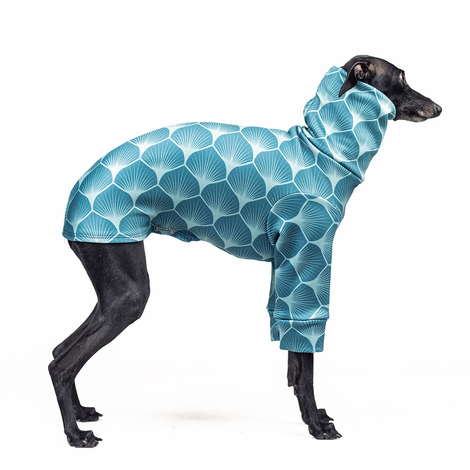Italian greyhound clothing LAGOON REEF Stretchmax® blouse - Wear.Chartbeat image 1