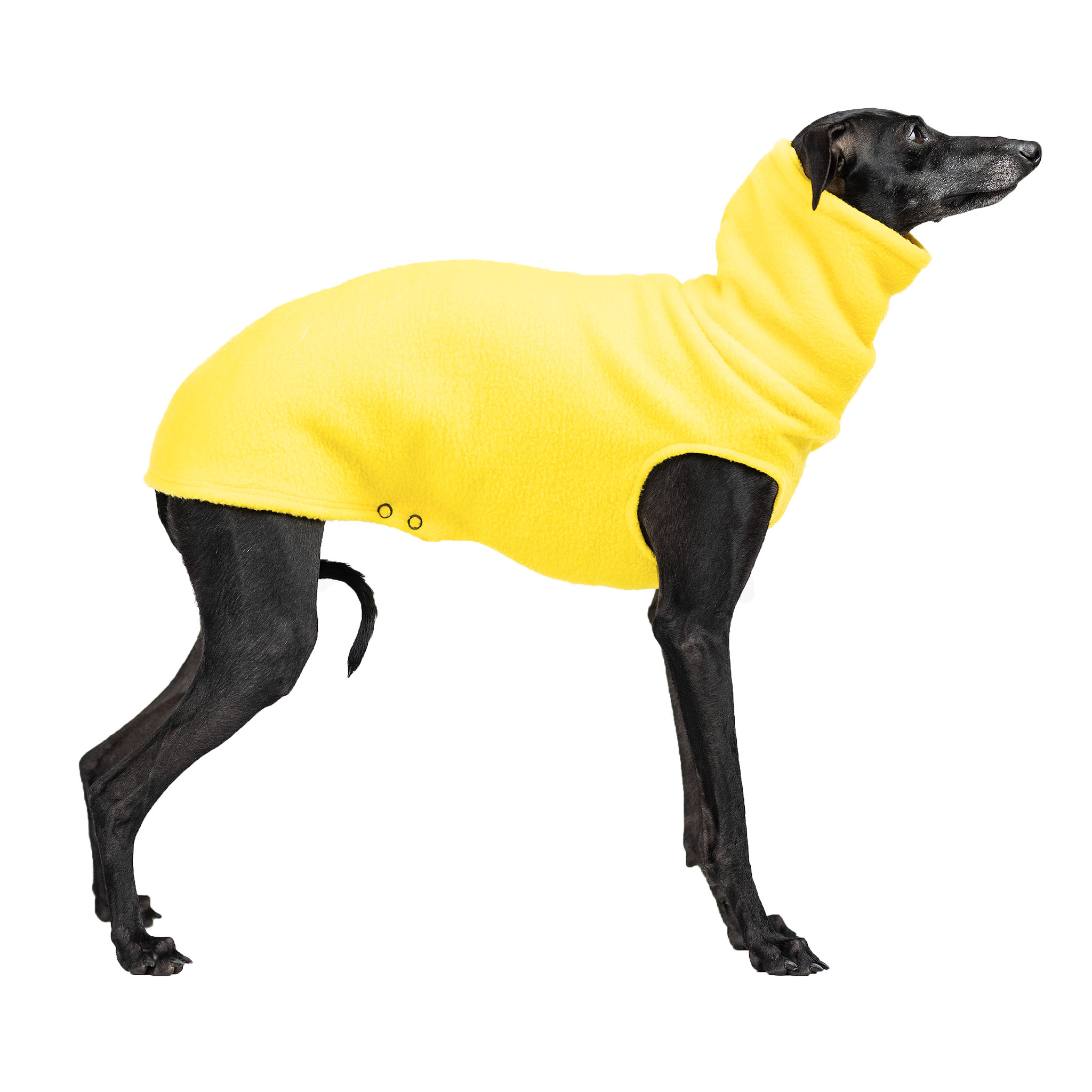 Italian greyhound clothing AUTUMN FLEECE YELLOW - Wear.Chartbeat image 2
