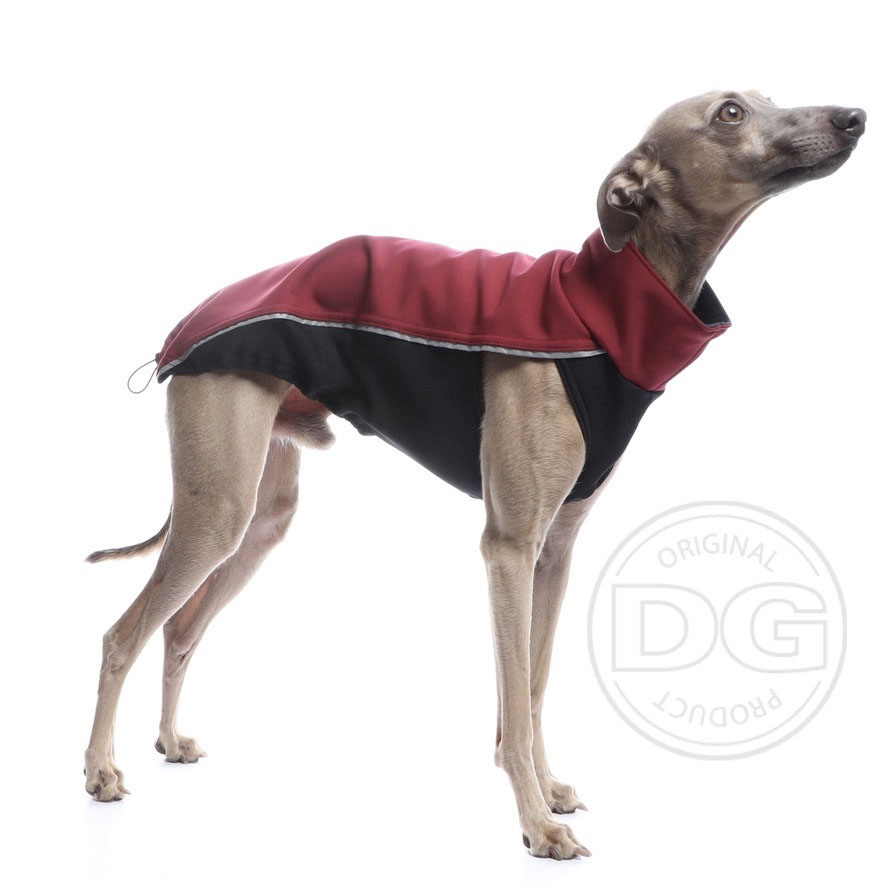 Italian greyhound jacket DG OUTDOOR SOFTSHELL TOP - DGDogGear image 4