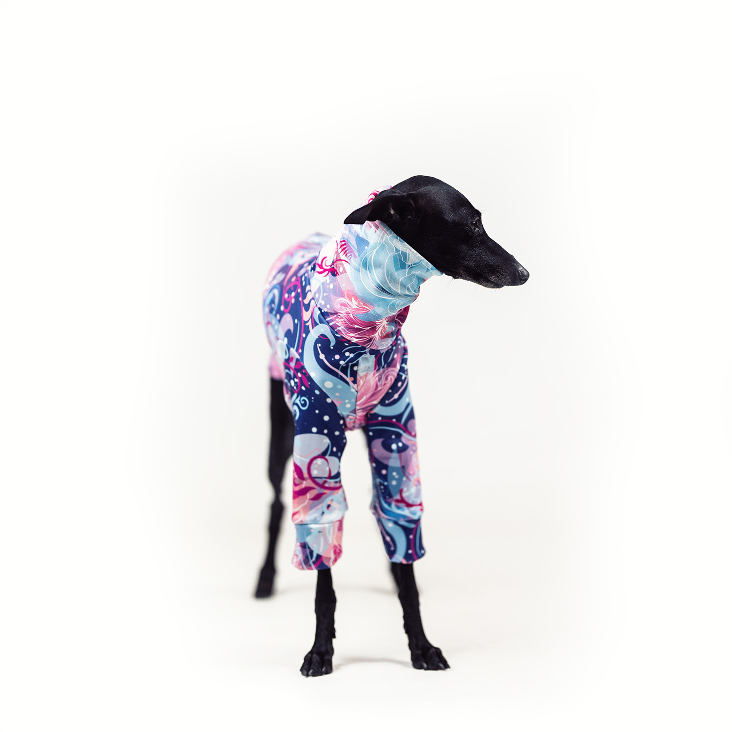 Italian greyhound clothing GALAXY BLOOM Stretchmax® blouse - Wear.Chartbeat image 2