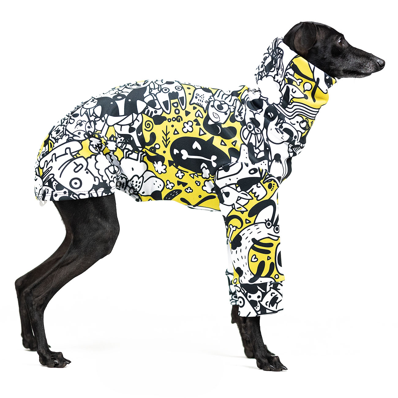 Italian greyhound clothing COMIX DOG - Wear.Chartbeat image 2