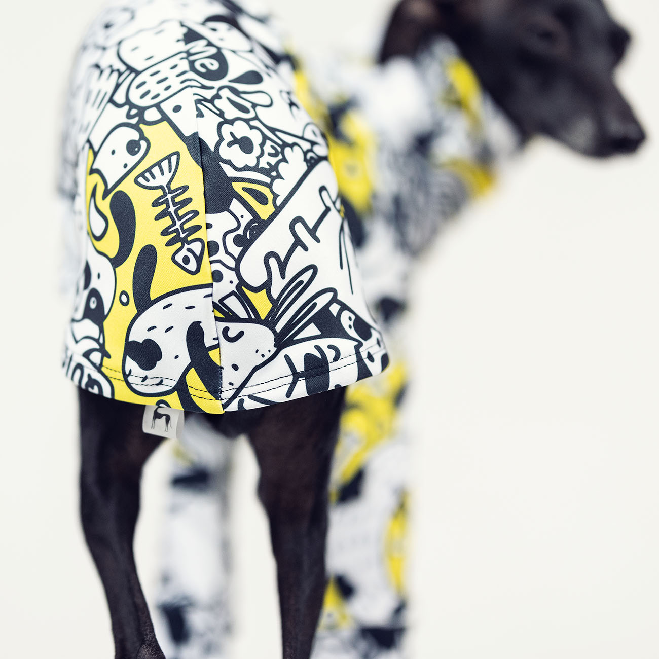 Italian greyhound clothing COMIX DOG - Wear.Chartbeat image 4