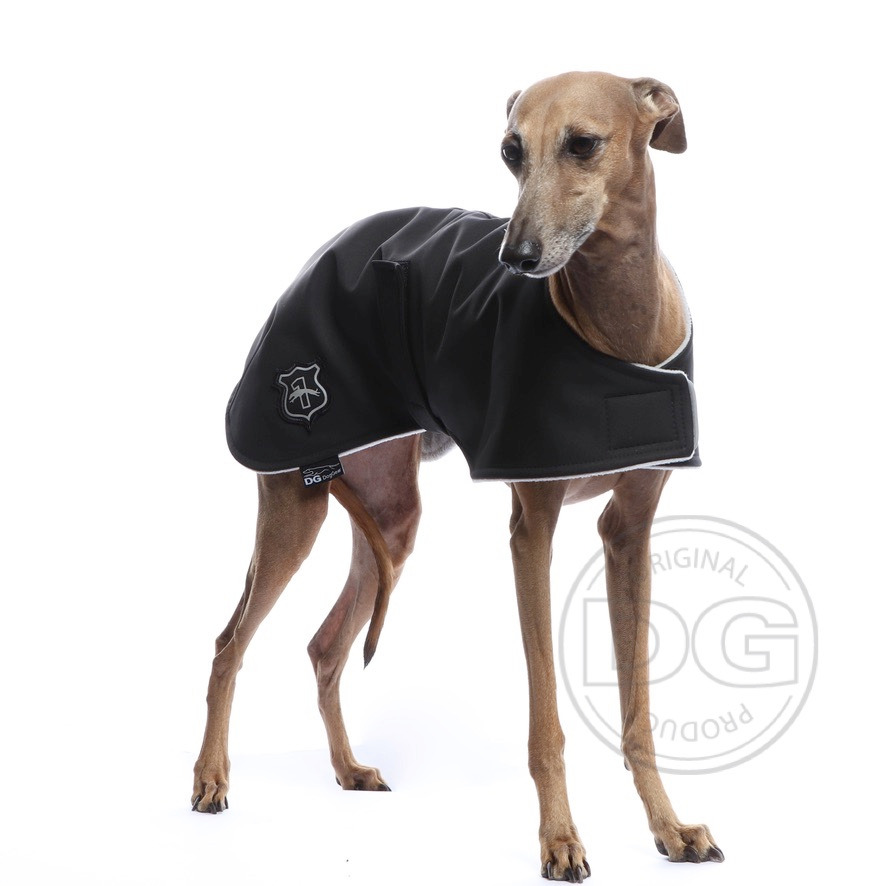 Italian greyhound clothing - DG BASIC JACKET GREY - DG image 1