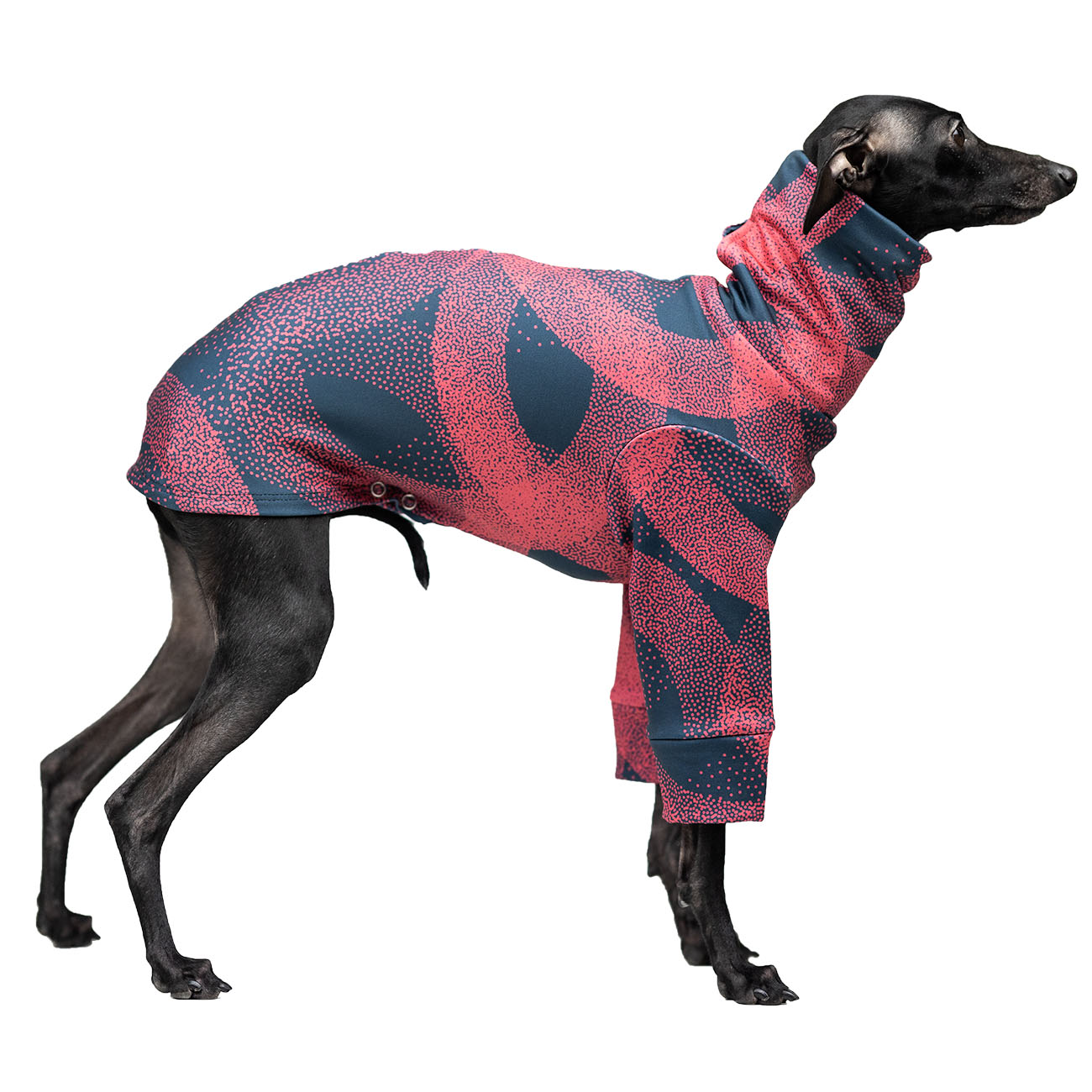 Italian greyhound clothing RED CIRCLE blouse - Wear.Chartbeat image 2