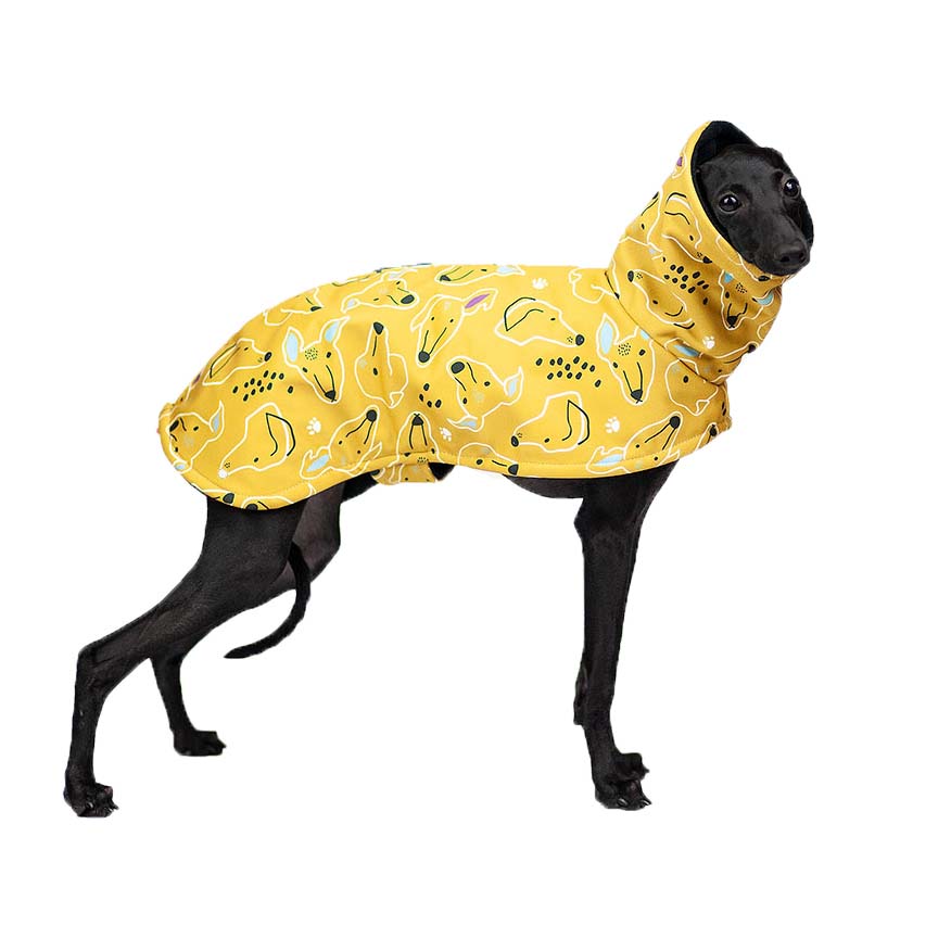 Italian greyhound SIGHTHIE YELLOW jacket - Wear.Chartbeat image 2