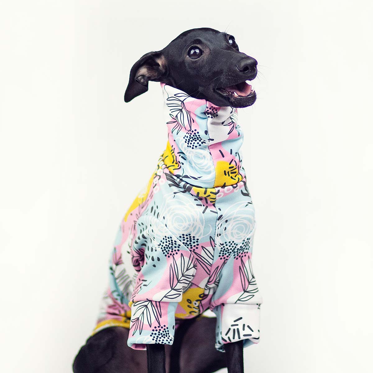 Italian greyhound clothing HAPPY MONDAY blouse - Wear.Chartbeat image 4