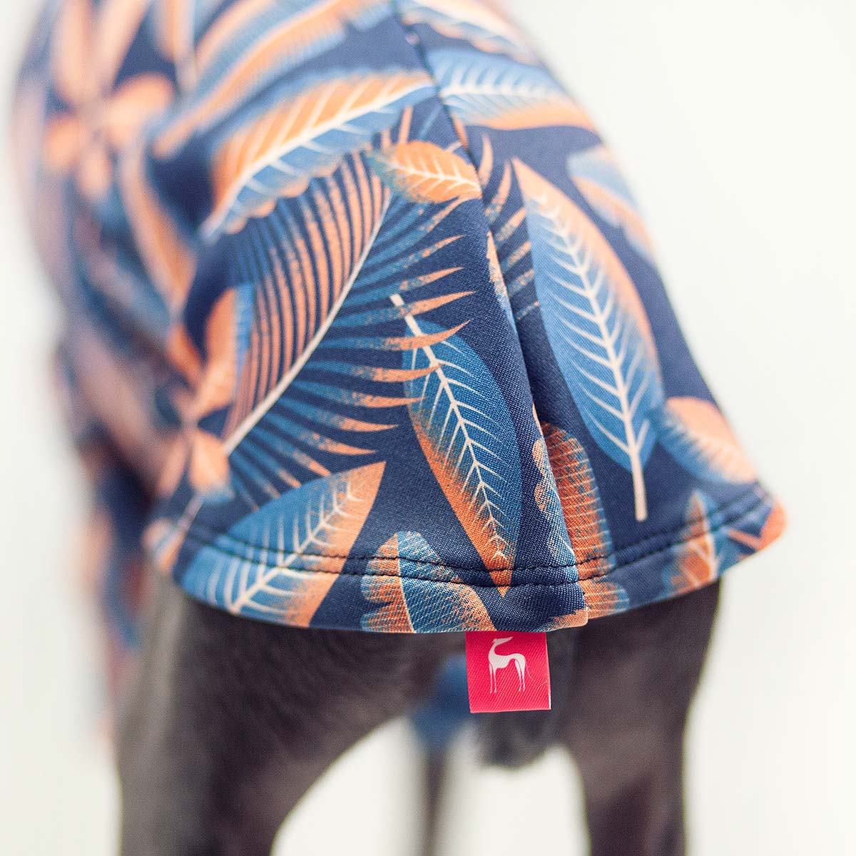 Italian greyhound clothing GINGER FALL blouse - Wear.Chartbeat image 4