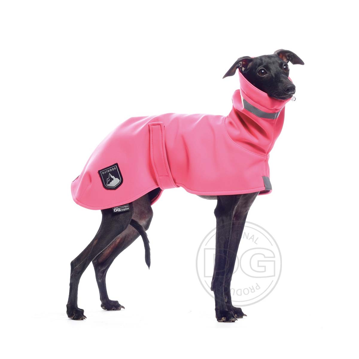 Italian greyhound clothing - DG OUTDOOR RAINCOAT PLUS  jacket - DG image 1