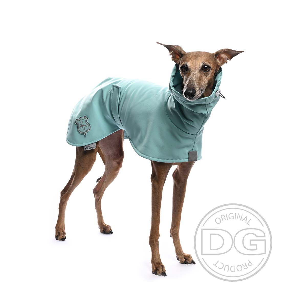 dg doggear