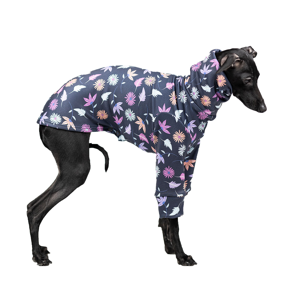 Italian greyhound clothing DARK SKY MEADOW - Wear.Chartbeat image 2