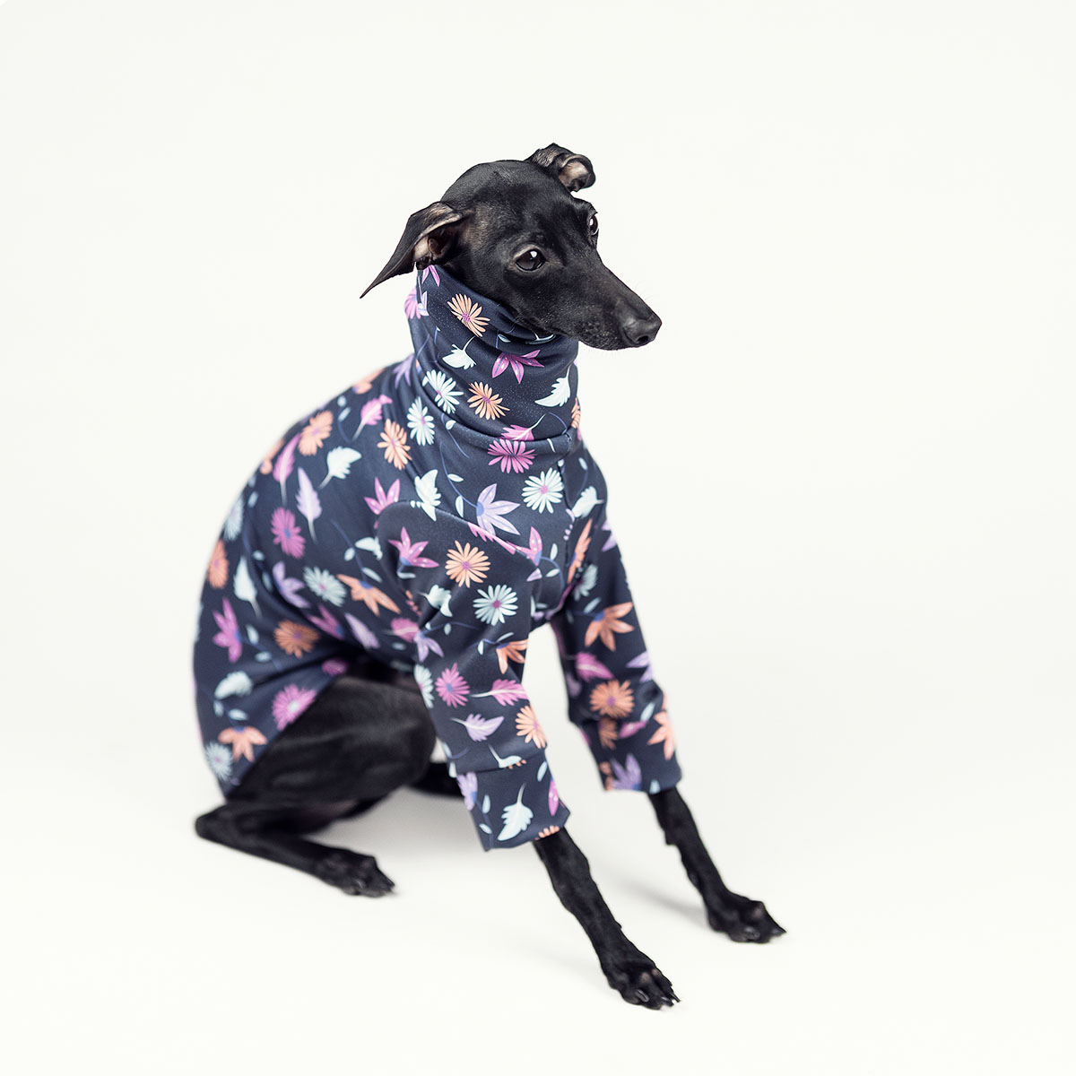 Italian greyhound clothing DARK SKY MEADOW - Wear.Chartbeat image 4