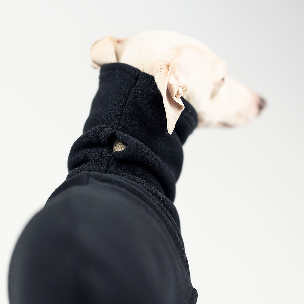Italian greyhound clothing BLACK FLEECE REVOLUTION - Wear.Chartbeat image 4