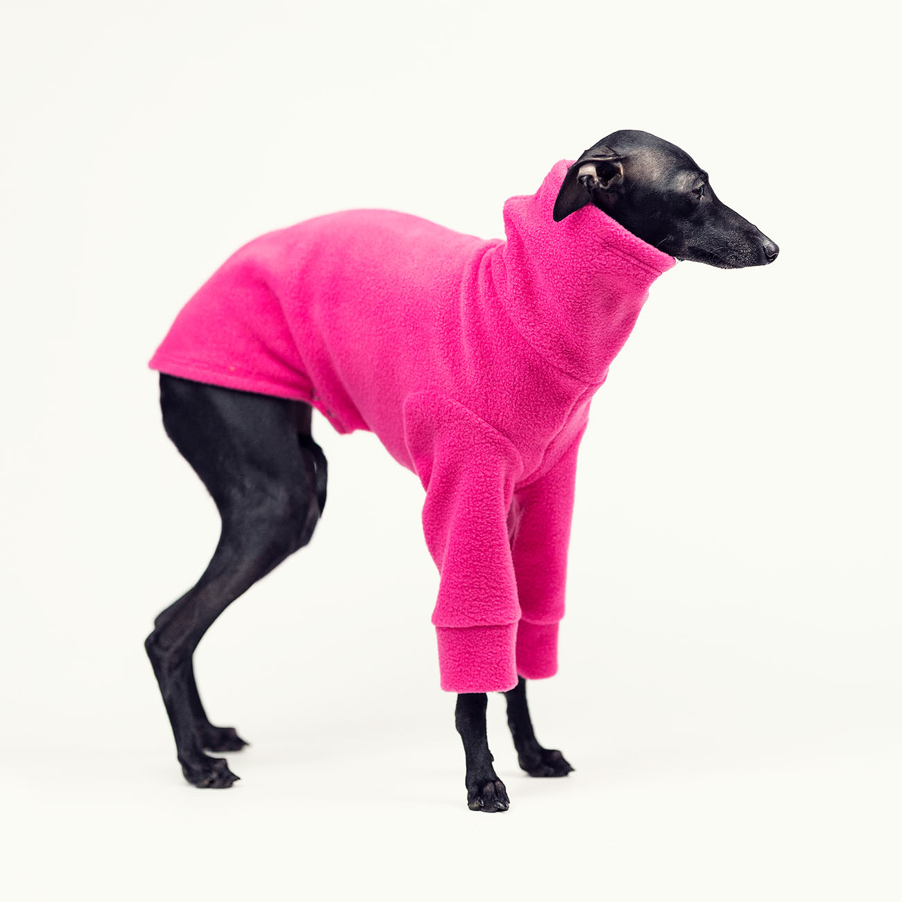 Italian greyhound clothing COLOR FLEECE REVOLUTION - Wear.Chartbeat image 3