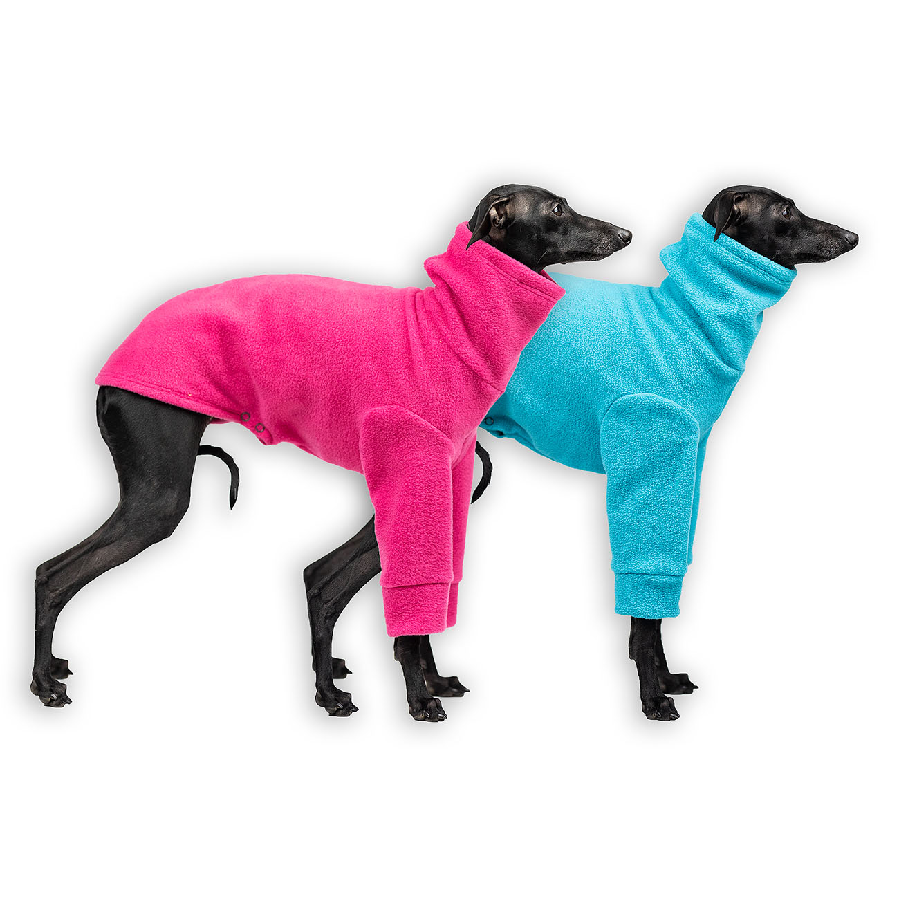 Italian greyhound clothing COLOR FLEECE REVOLUTION - Wear.Chartbeat image 1