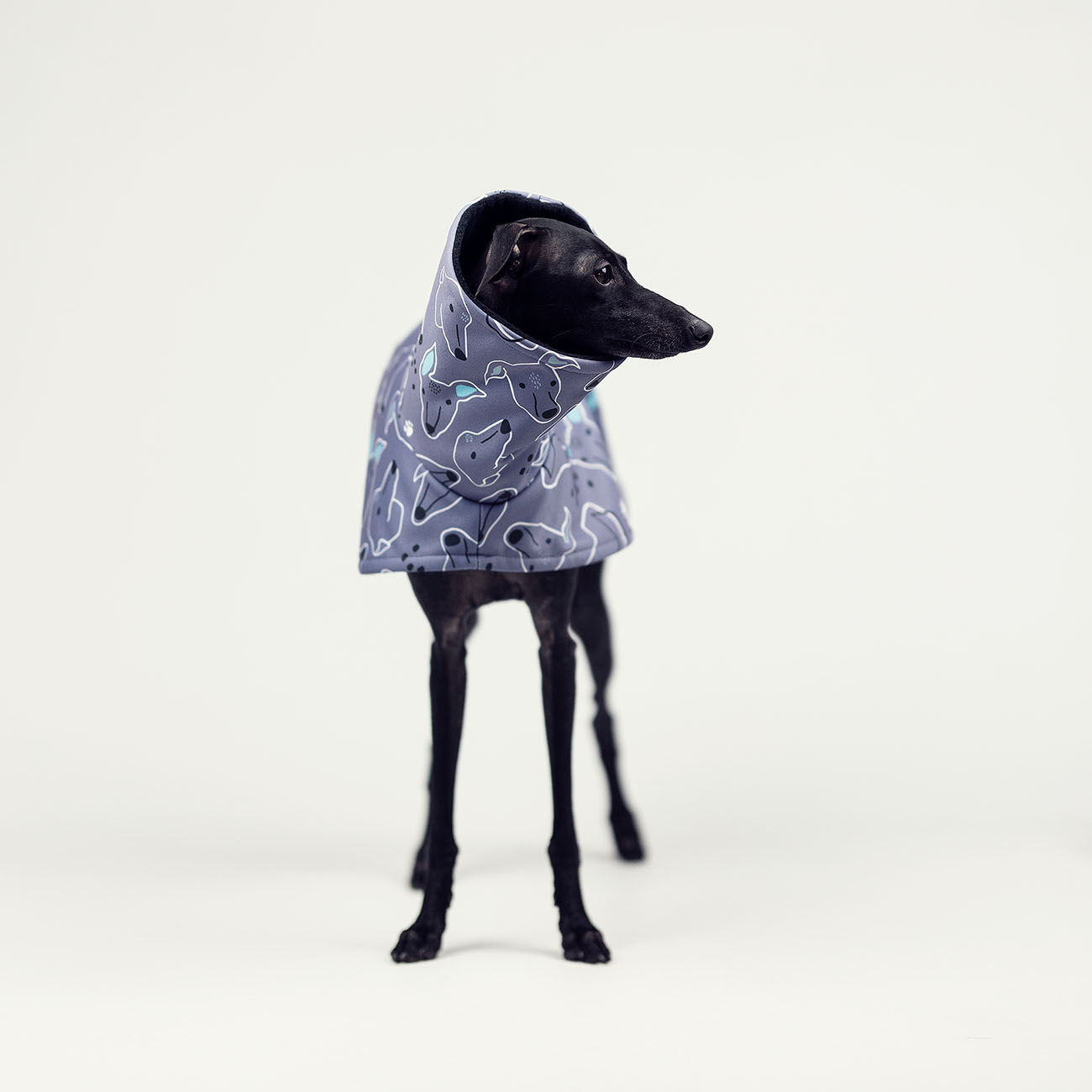 Italian greyhound SIGHTHIE PINK & NAVY jacket - Wear.Chartbeat image 3