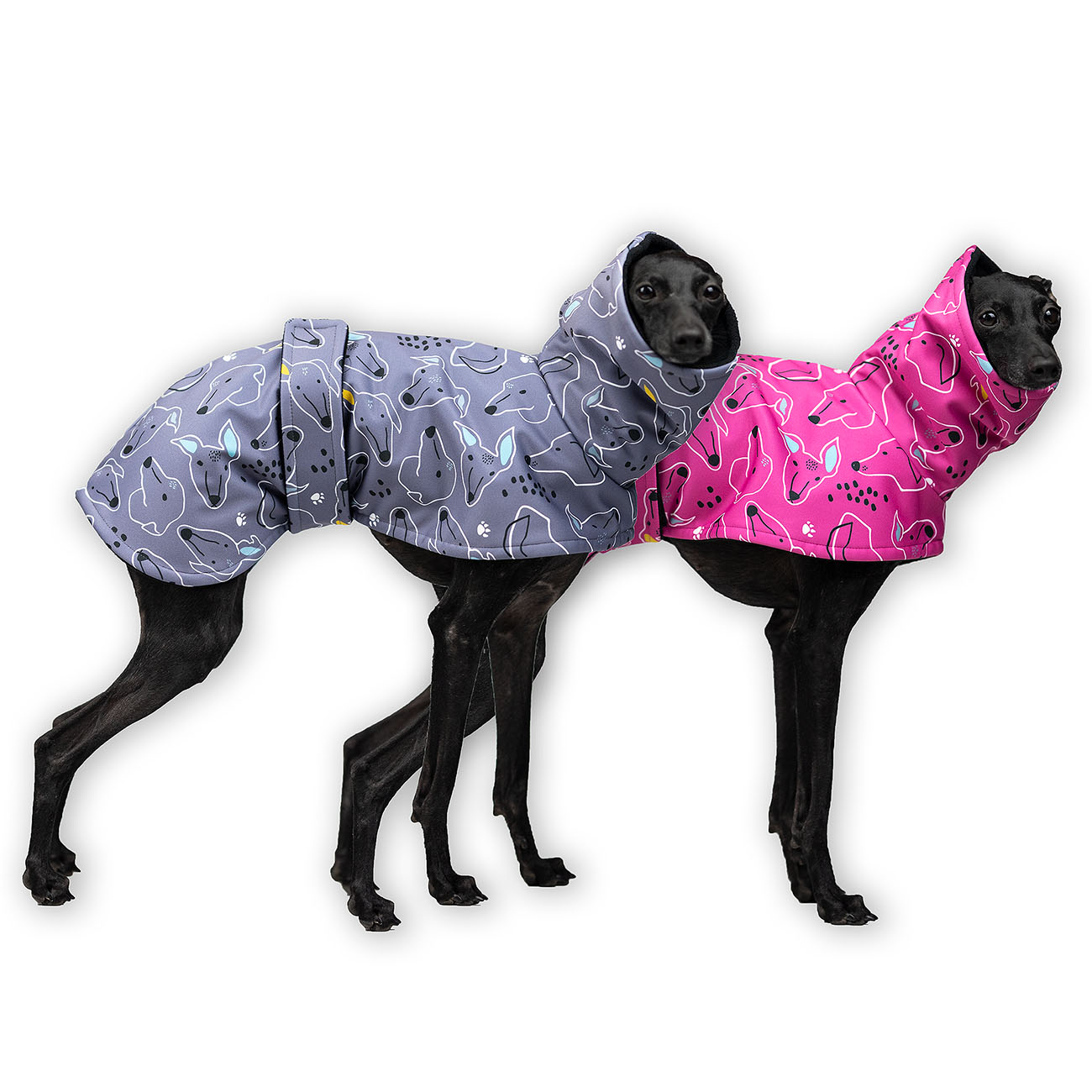 Italian greyhound SIGHTHIE PINK & NAVY jacket - Wear.Chartbeat image 1