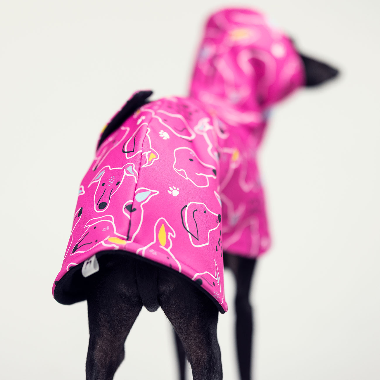 Italian greyhound SIGHTHIE PINK & NAVY jacket - Wear.Chartbeat image 4