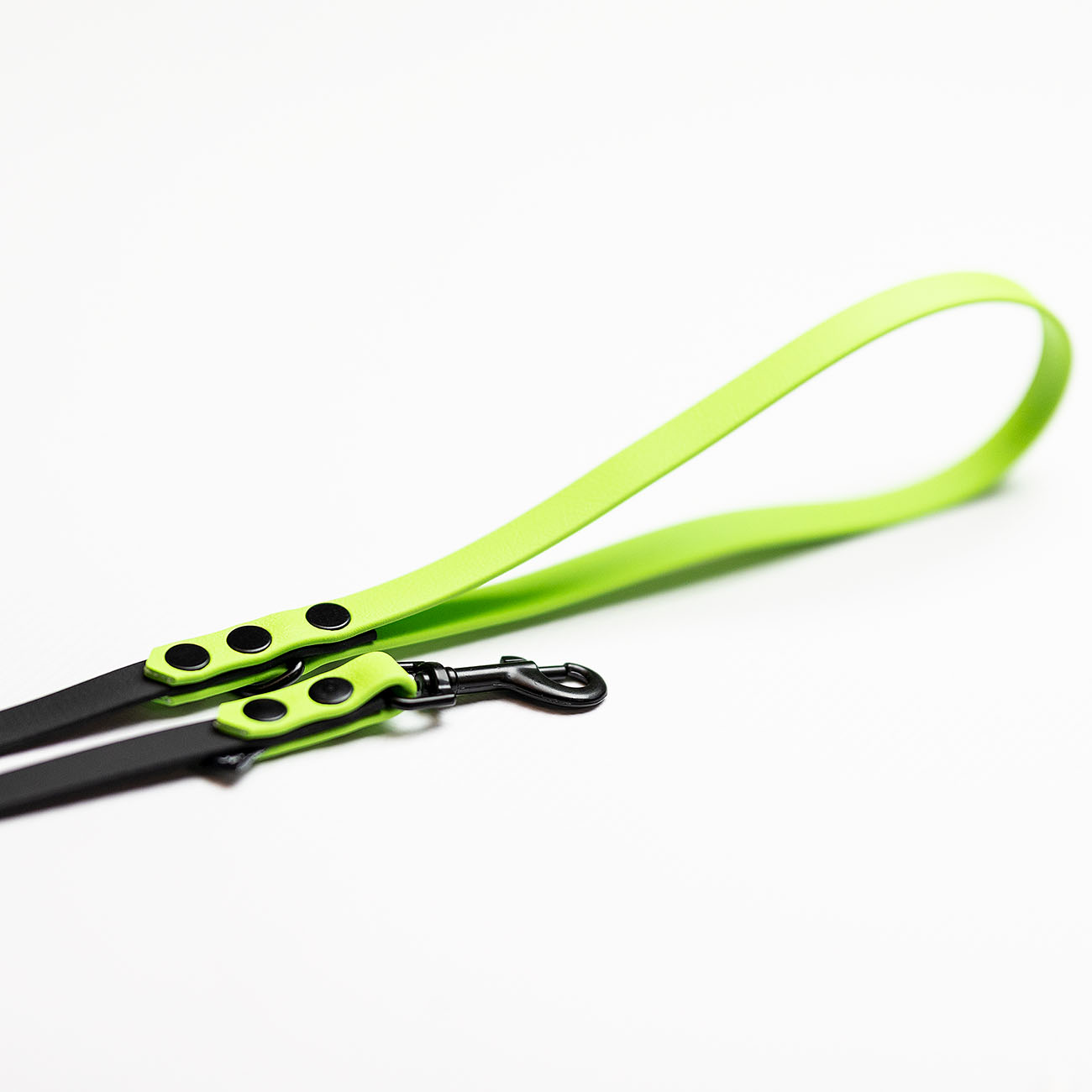 Italian greyhound leash Black Apple BioThane® - ACC image 2