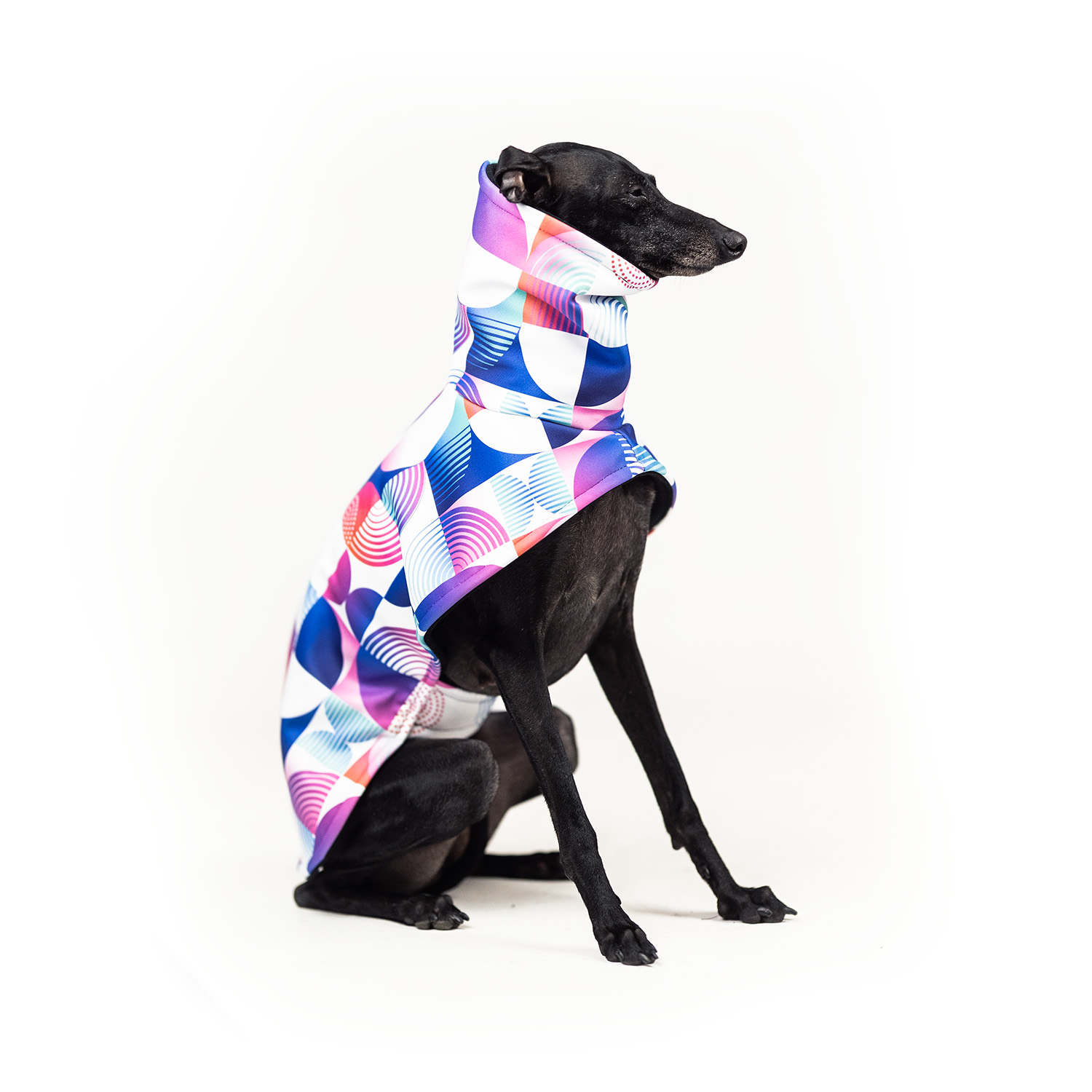 Italian greyhound NEO BAUHAUS Softshell® jacket - Wear.Chartbeat image 3