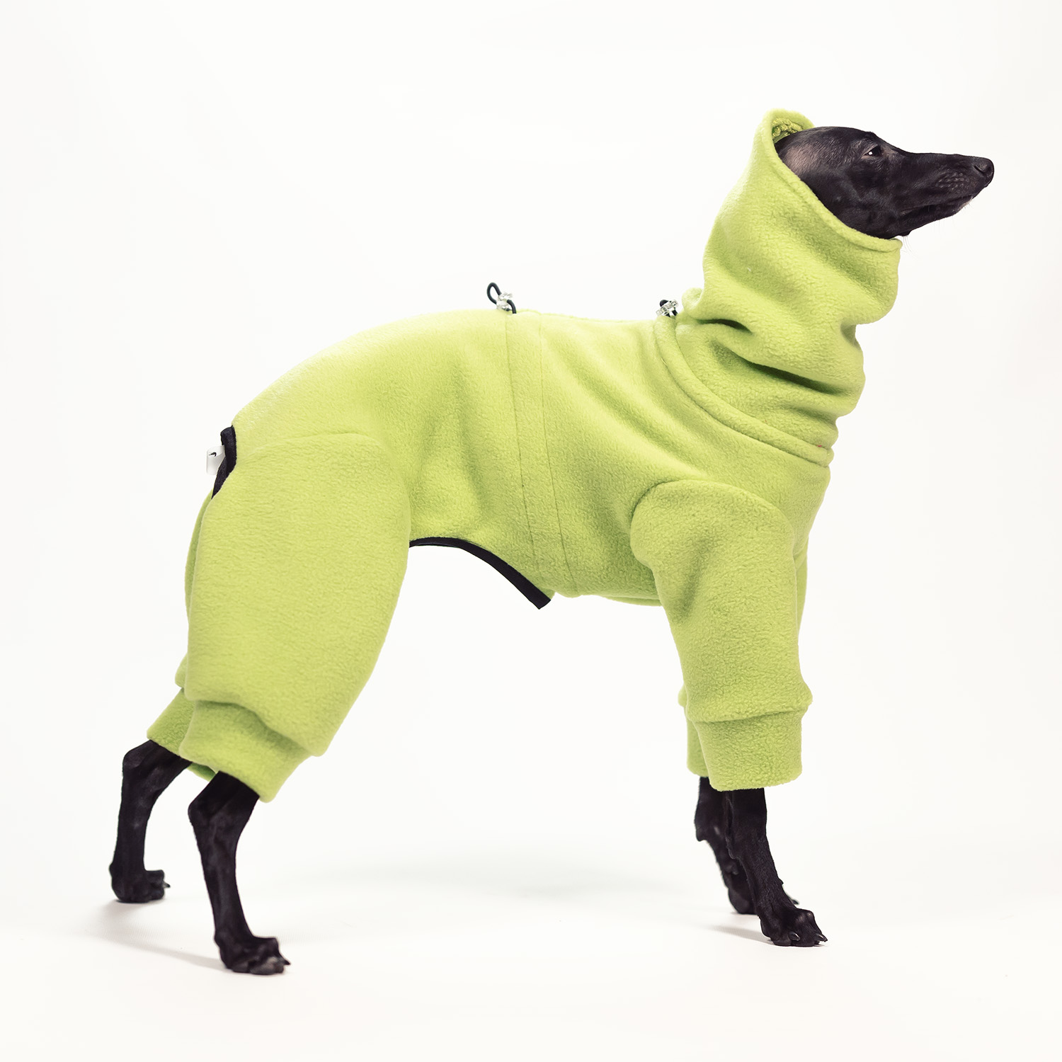 Jumpsuit for italian greyhound TRAFFIC LIGHT - Wear.Chartbeat image 3