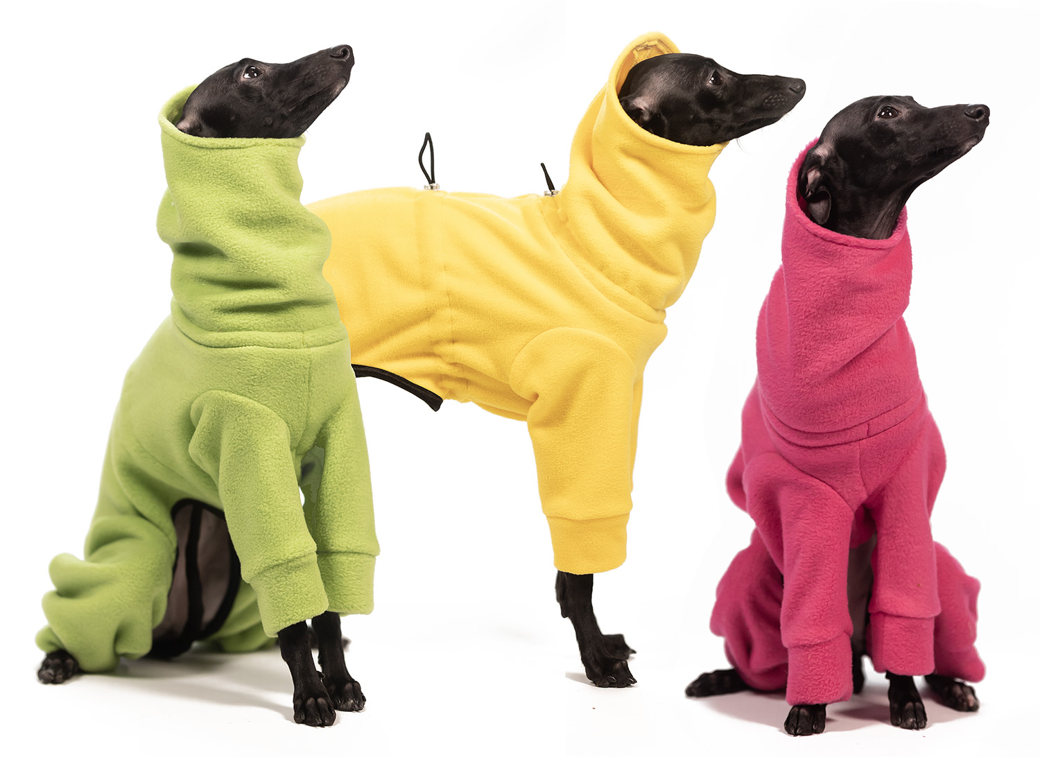 Jumpsuit for italian greyhound TRAFFIC LIGHT - Wear.Chartbeat image 1