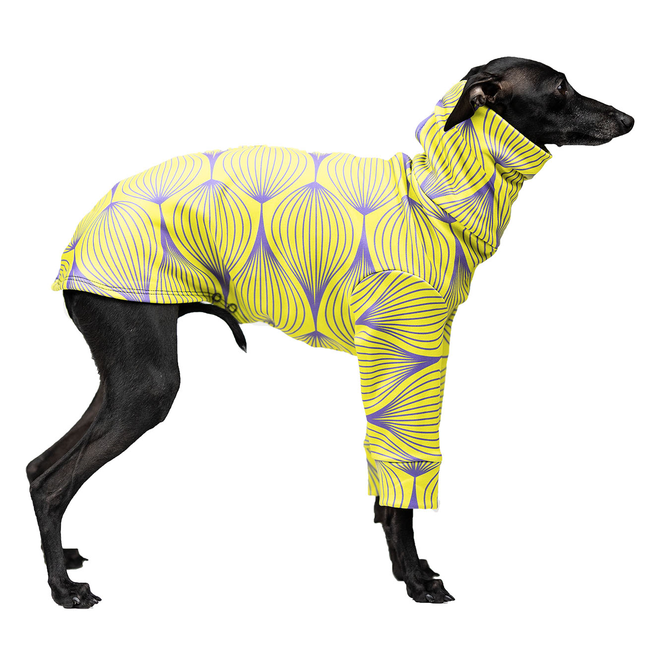 Italian greyhound clothing SOUR FLOSS - Wear.Chartbeat image 2