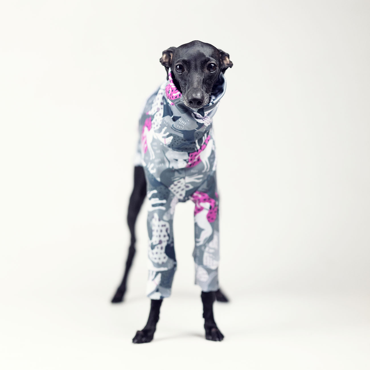 Italian greyhound clothing IGGY FRESK PINK - Wear.Chartbeat image 3