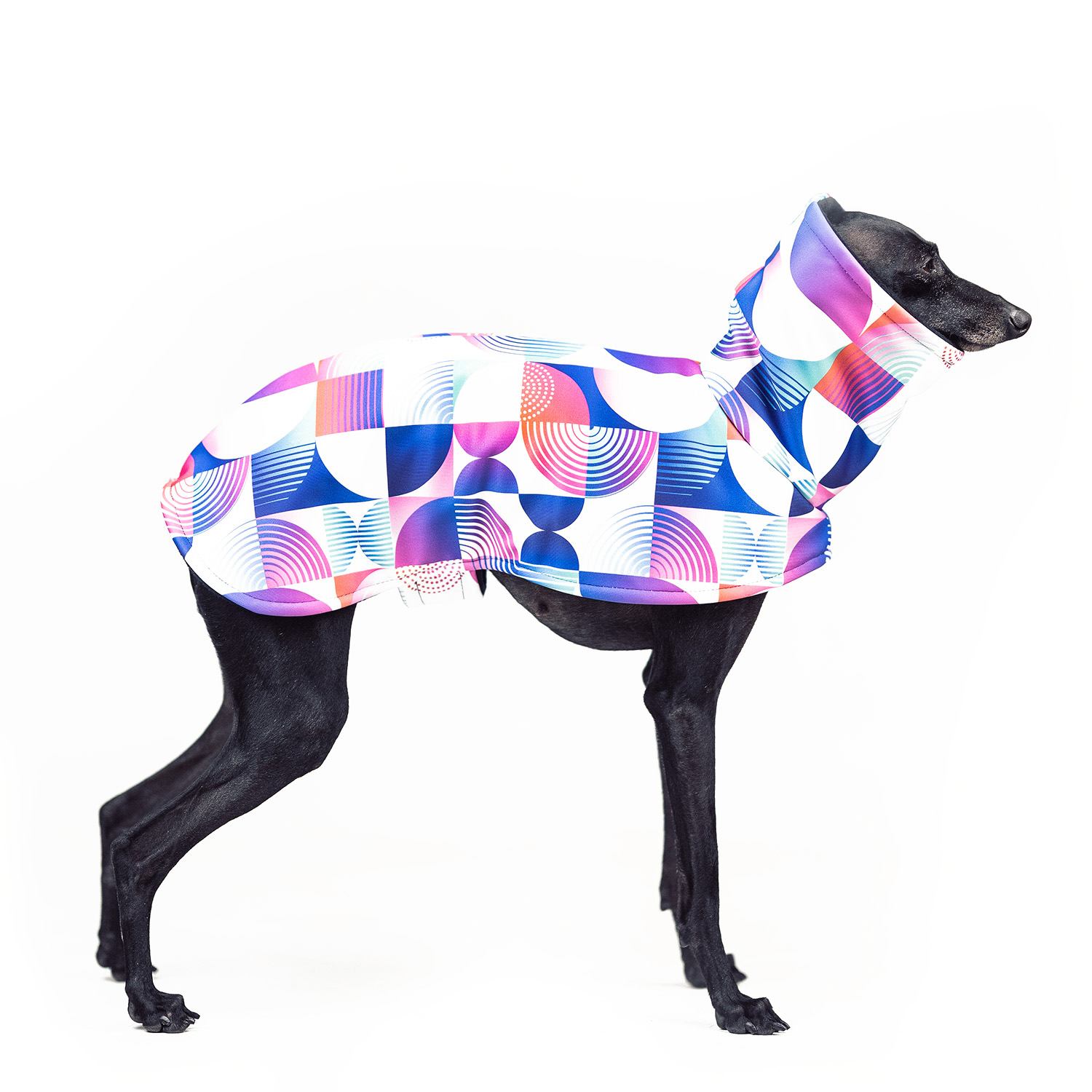 Italian greyhound NEO BAUHAUS Softshell® jacket - Wear.Chartbeat image 1